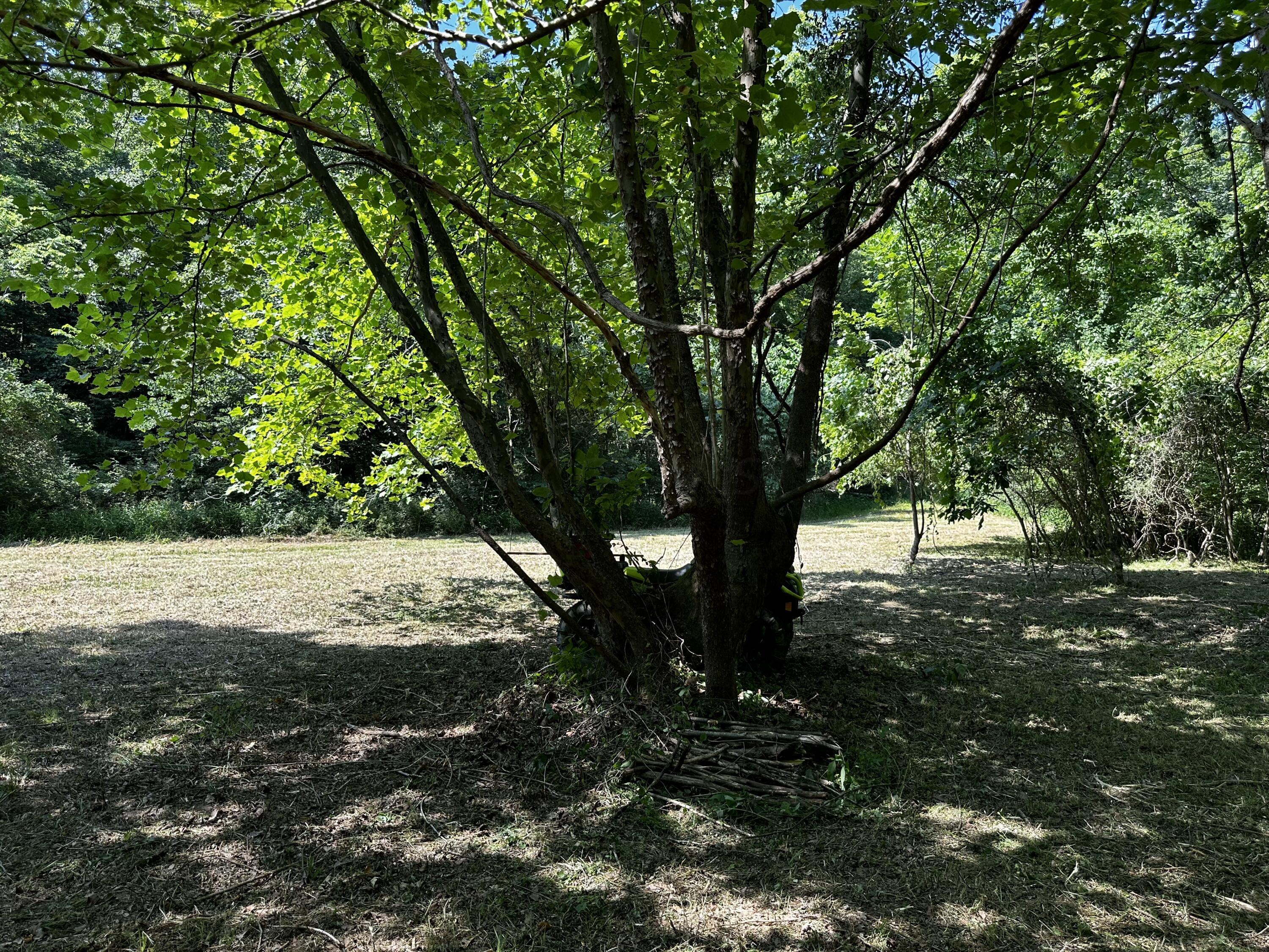 1079 Hull Road, (tract 11 Woods Wayne Forest) Property Photo 32