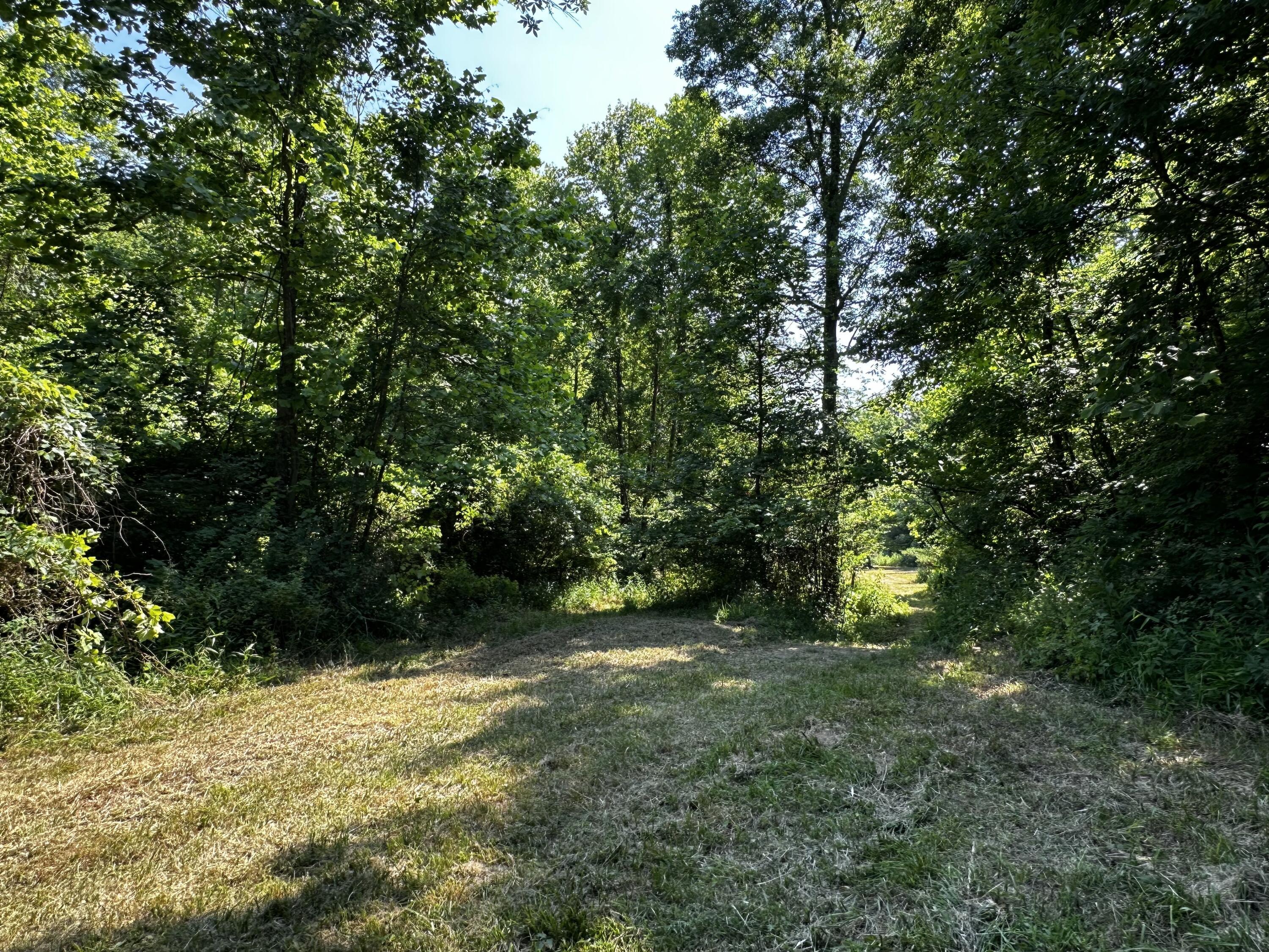 1079 Hull Road, (tract 11 Woods Wayne Forest) Property Photo 33