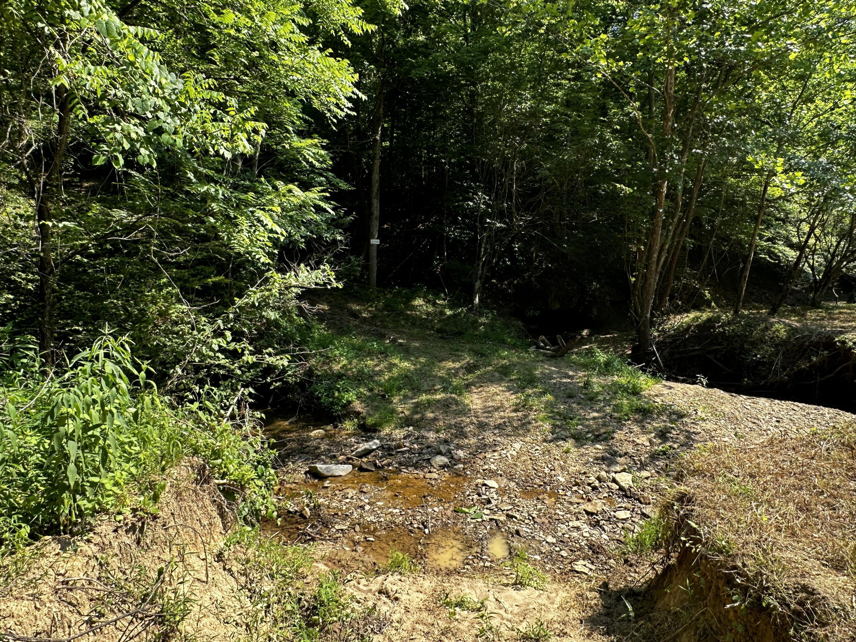 1079 Hull Road, (tract 11 Woods Wayne Forest) Property Photo 35
