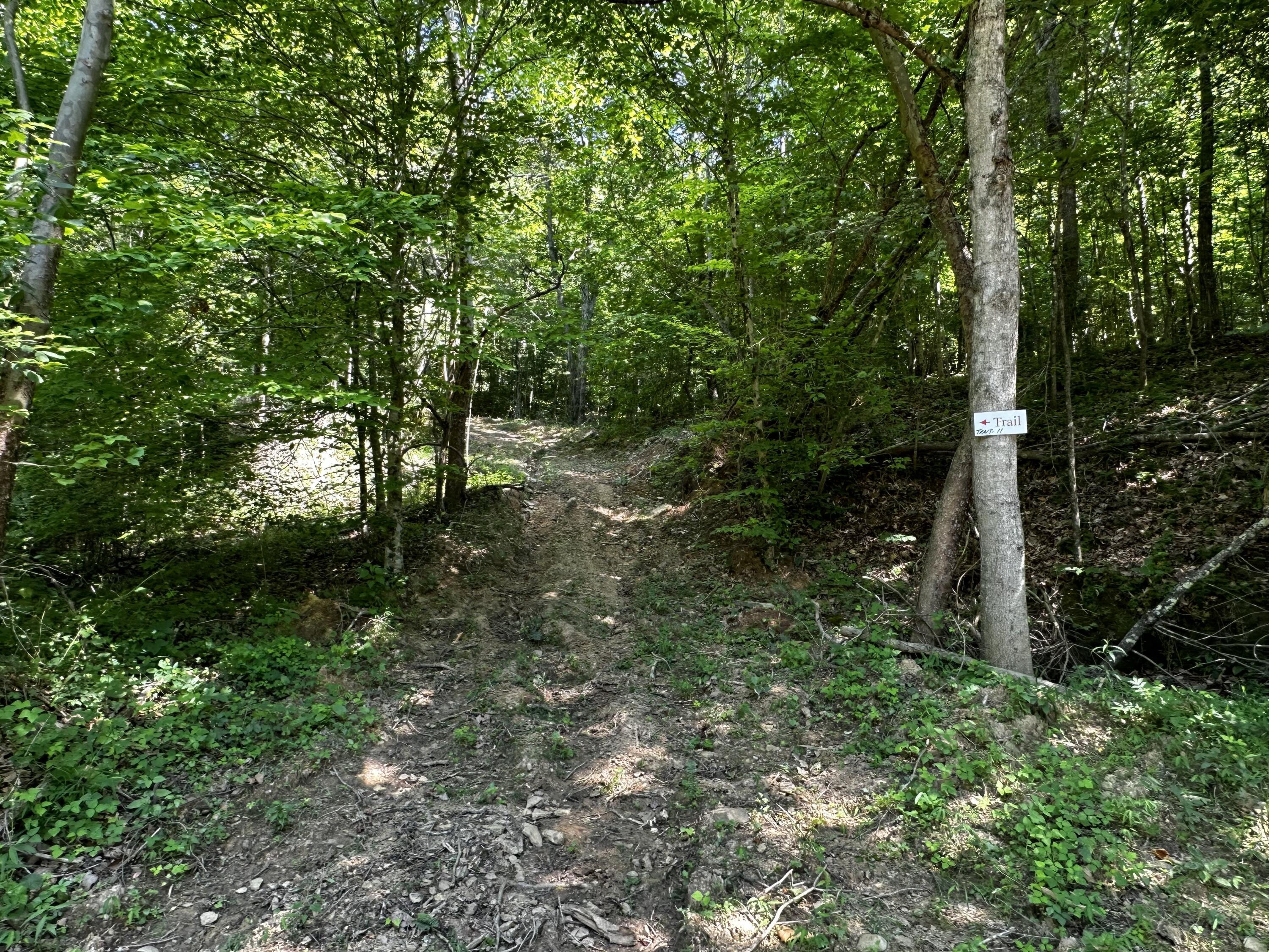 1079 Hull Road, (tract 11 Woods Wayne Forest) Property Photo 37