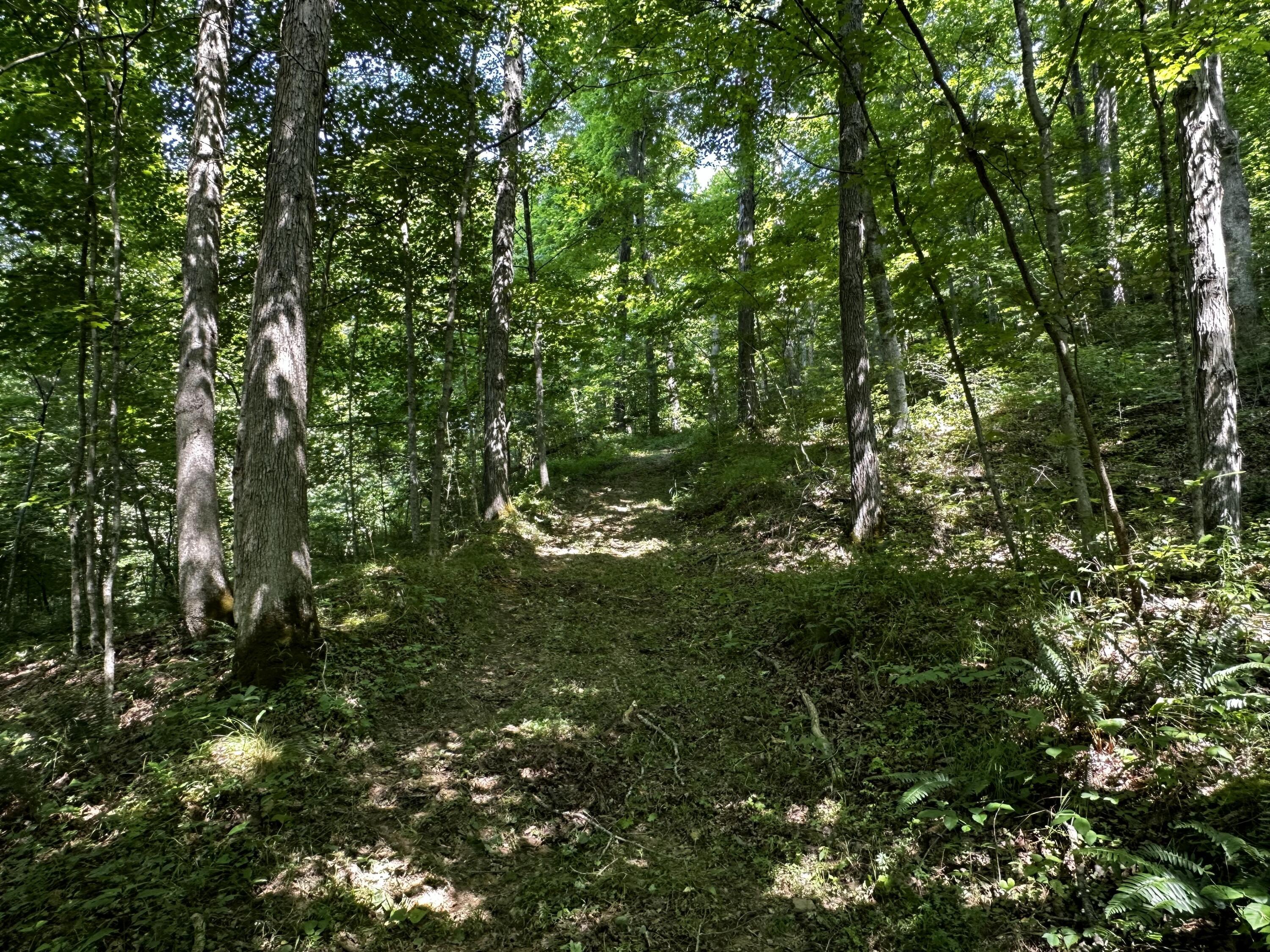 1079 Hull Road, (tract 11 Woods Wayne Forest) Property Photo 41