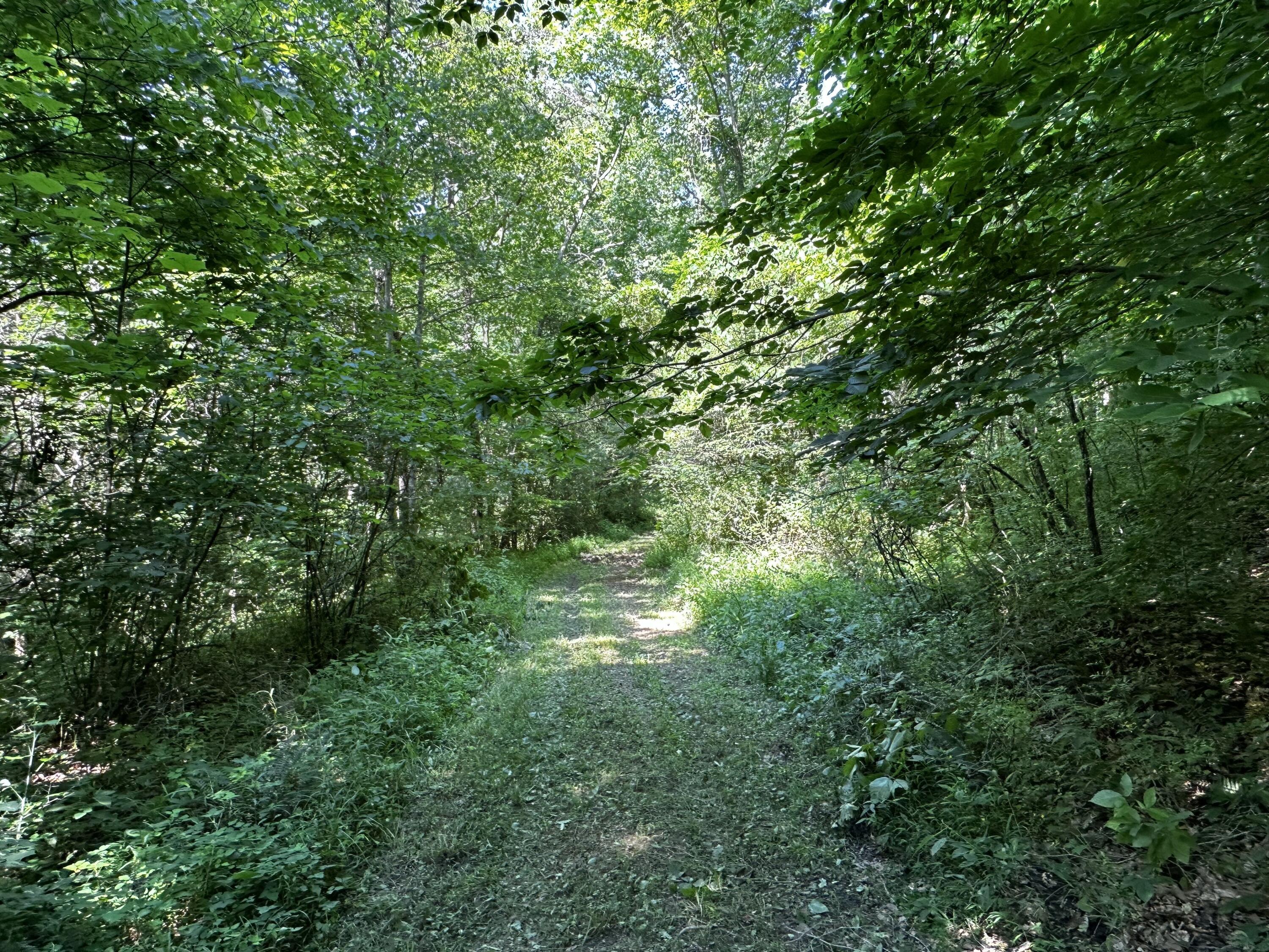 1079 Hull Road, (tract 11 Woods Wayne Forest) Property Photo 44