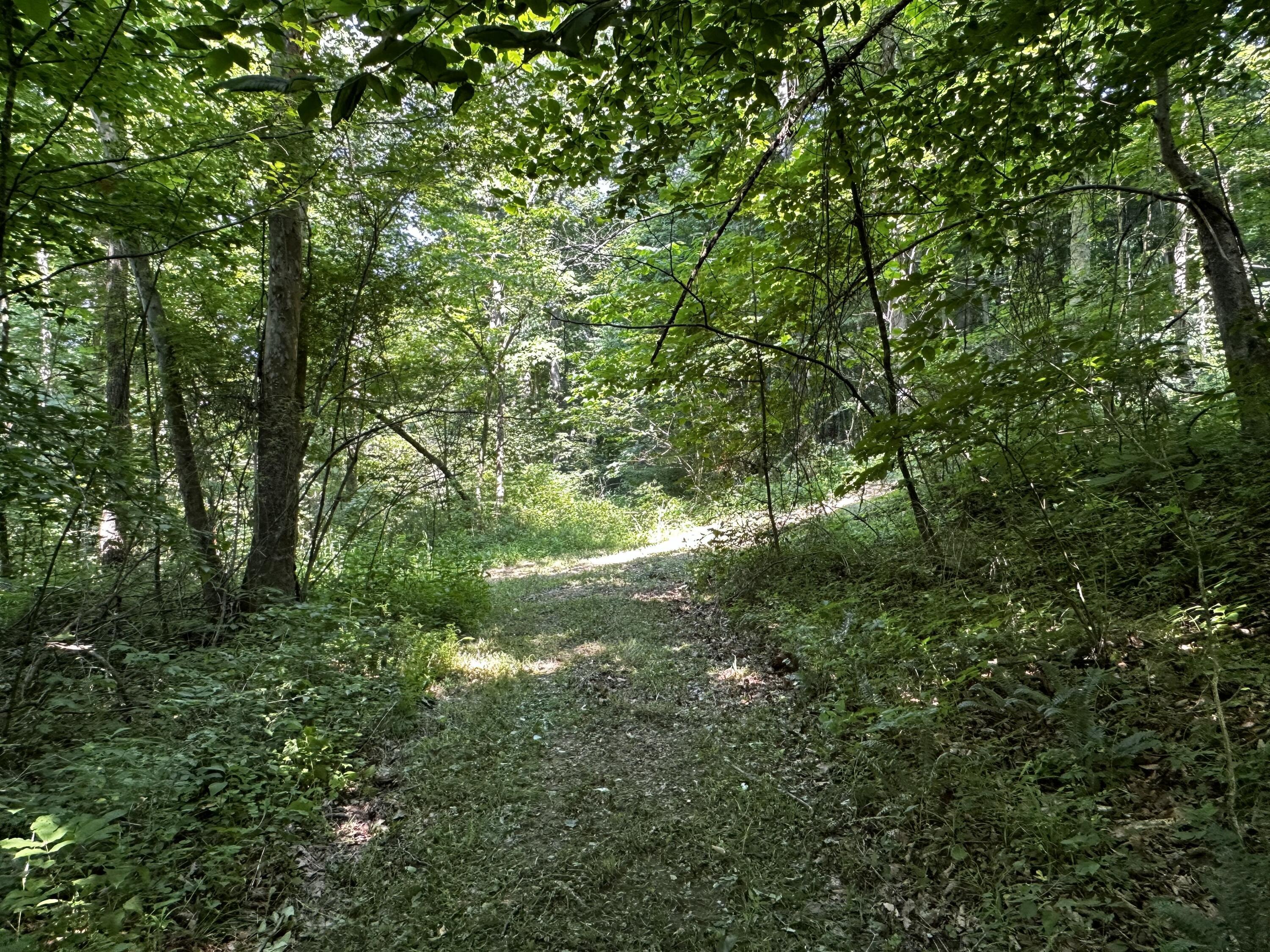 1079 Hull Road, (tract 11 Woods Wayne Forest) Property Photo 47