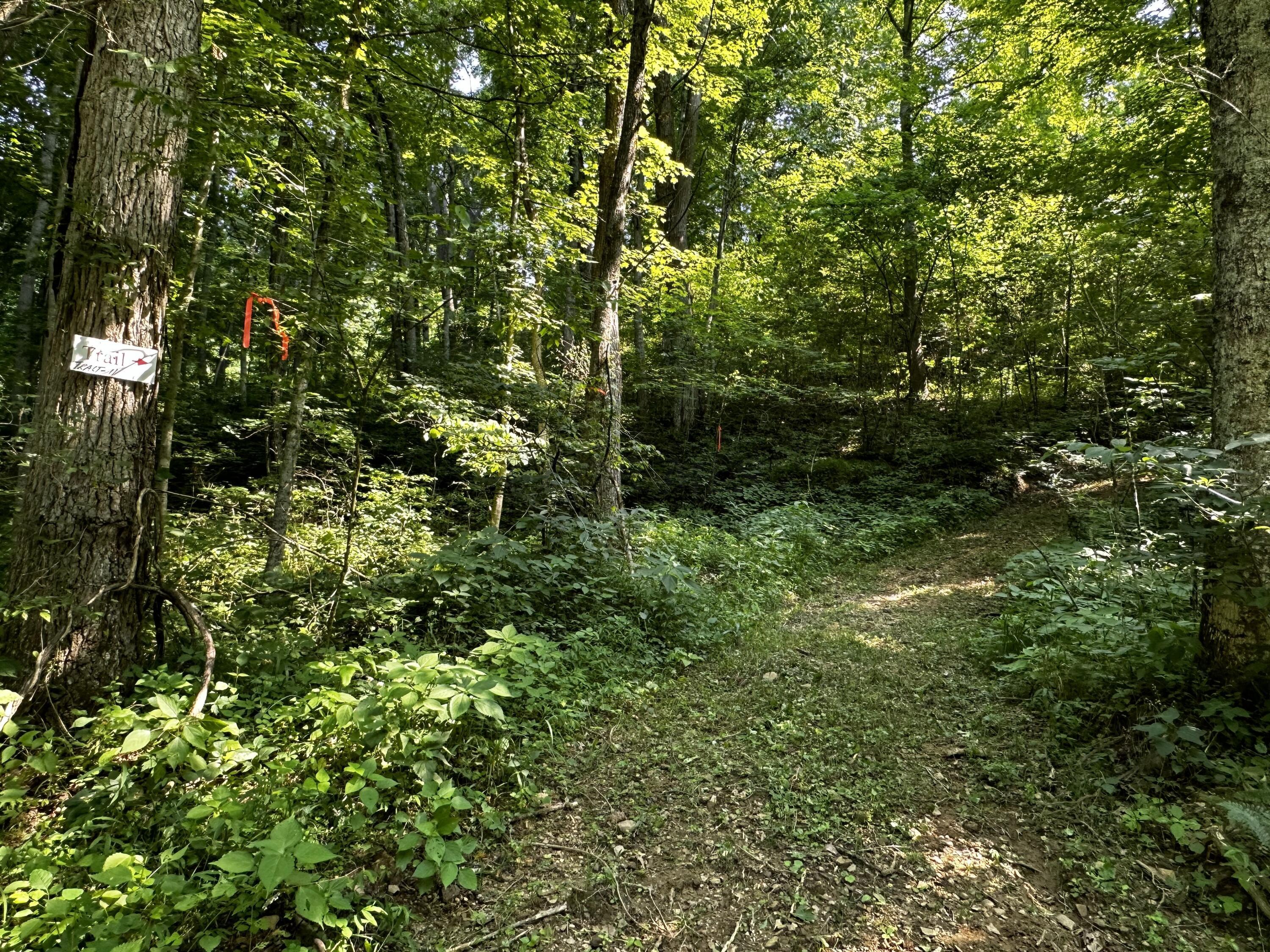 1079 Hull Road, (tract 11 Woods Wayne Forest) Property Photo 48