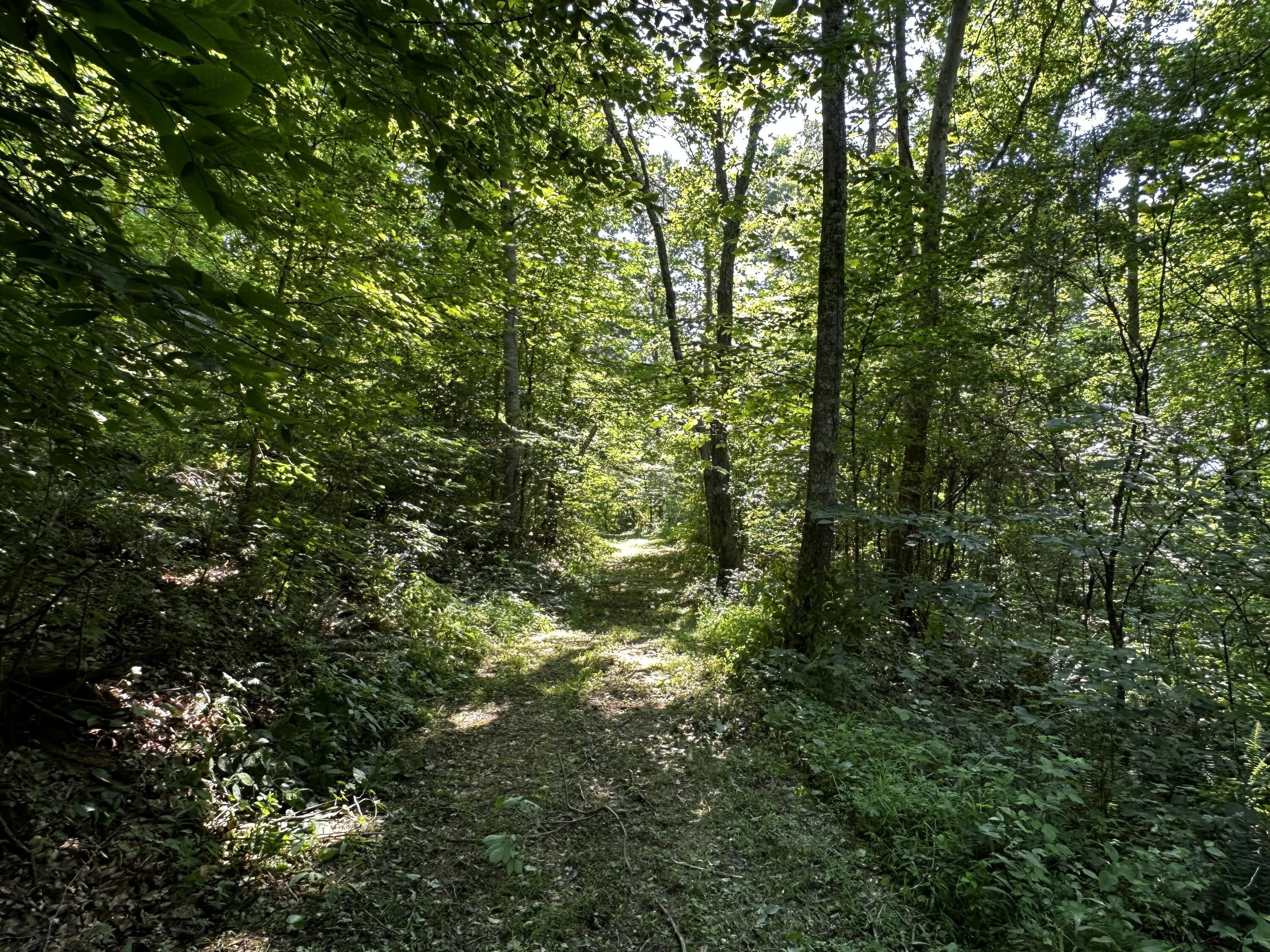 1079 Hull Road, (tract 11 Woods Wayne Forest) Property Photo 52
