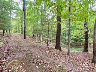 73350 Brooks Martin Road Property Photo 3