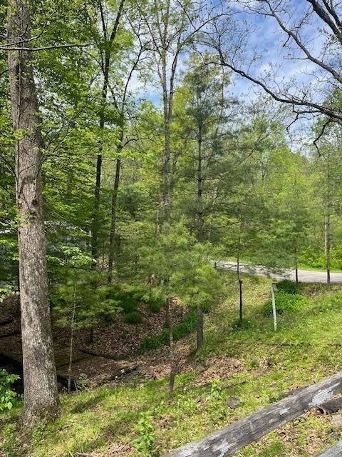 73350 Brooks Martin Road Property Photo 24