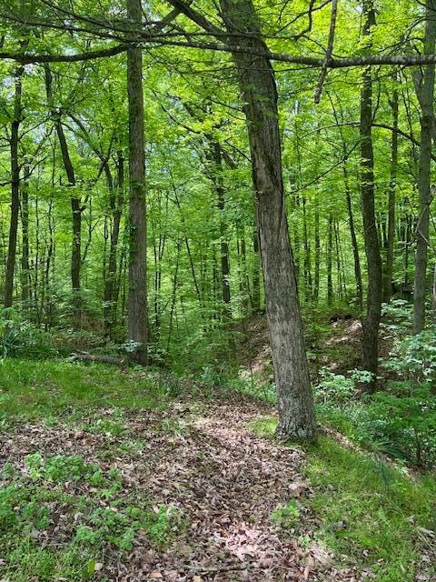 73350 Brooks Martin Road Property Photo 25