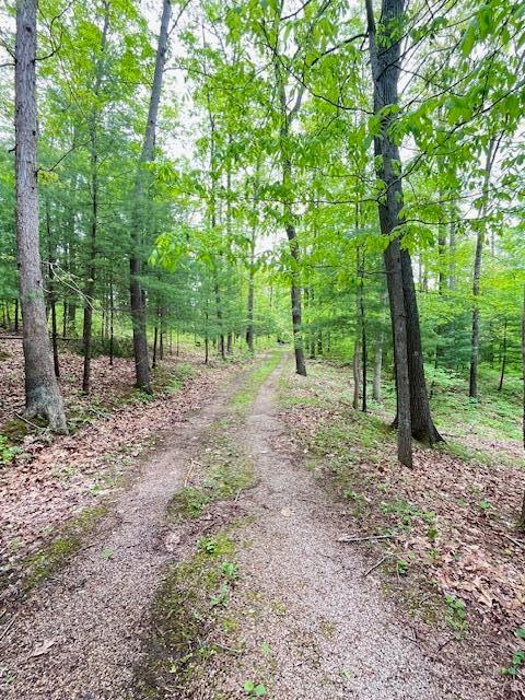 73350 Brooks Martin Road Property Photo 26