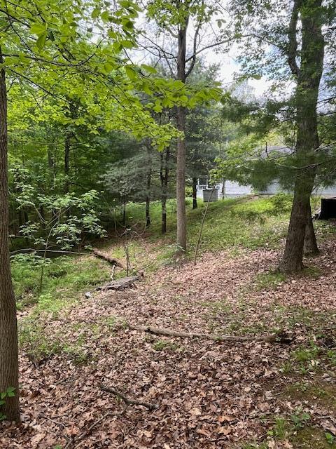 73350 Brooks Martin Road Property Photo 27