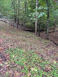 73350 Brooks Martin Road Property Photo 31