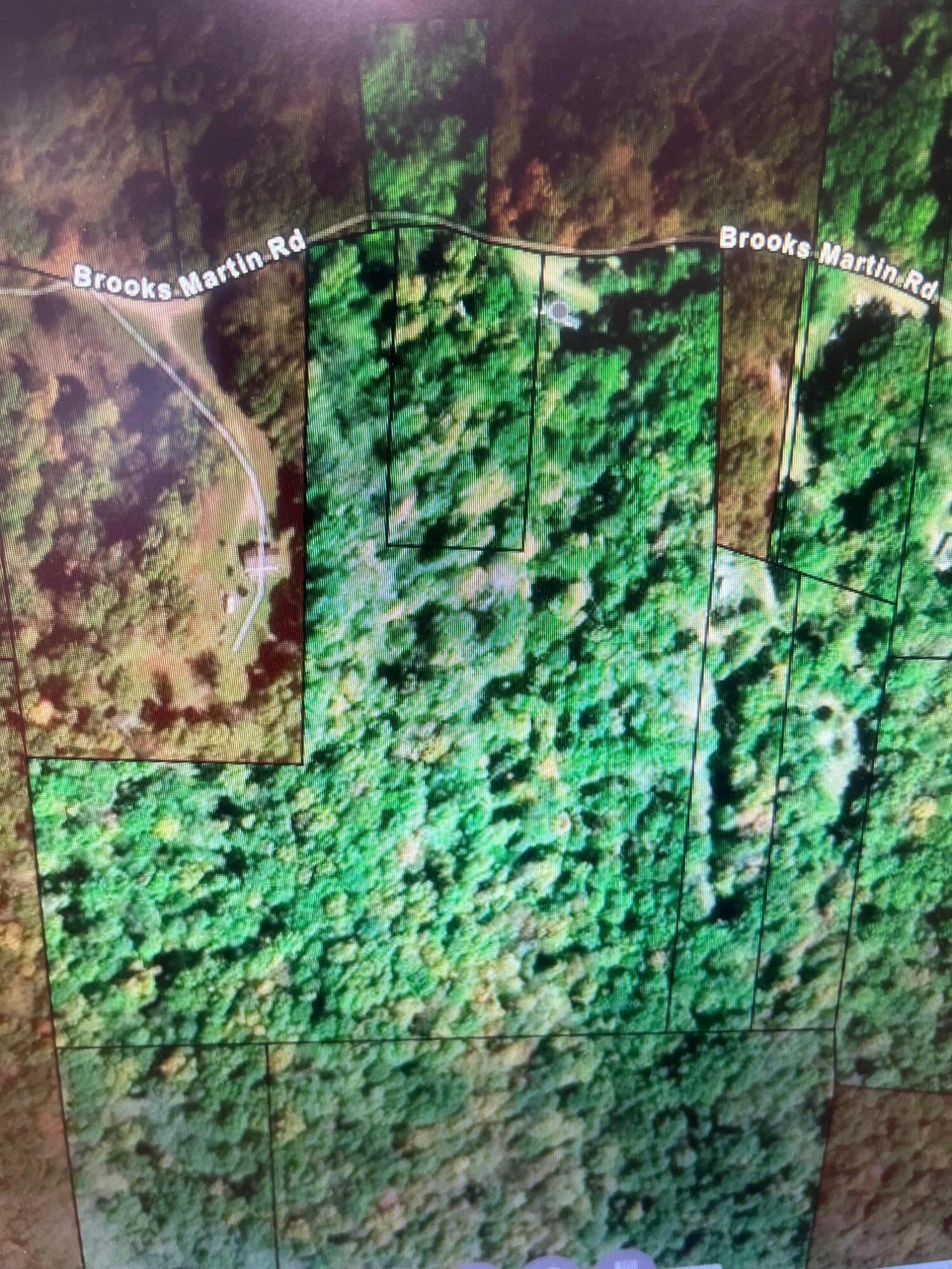 73350 Brooks Martin Road Property Photo 34