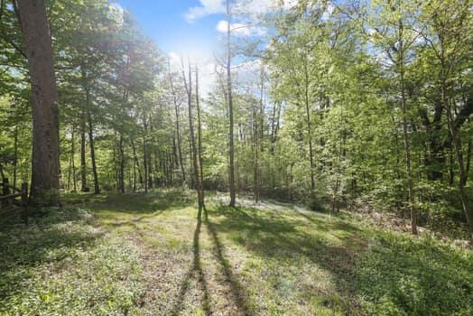 7541 Dupler Road Property Photo 16