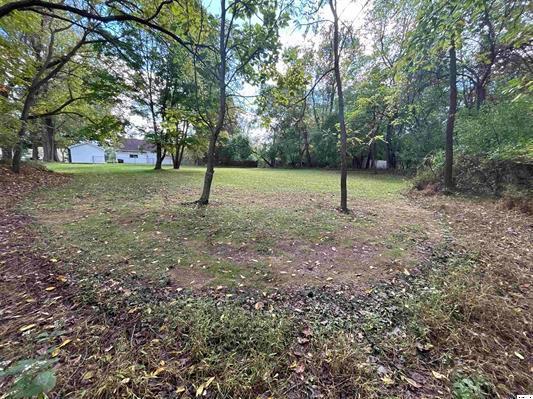 405 1/2 Gaskin Avenue Property Photo 2