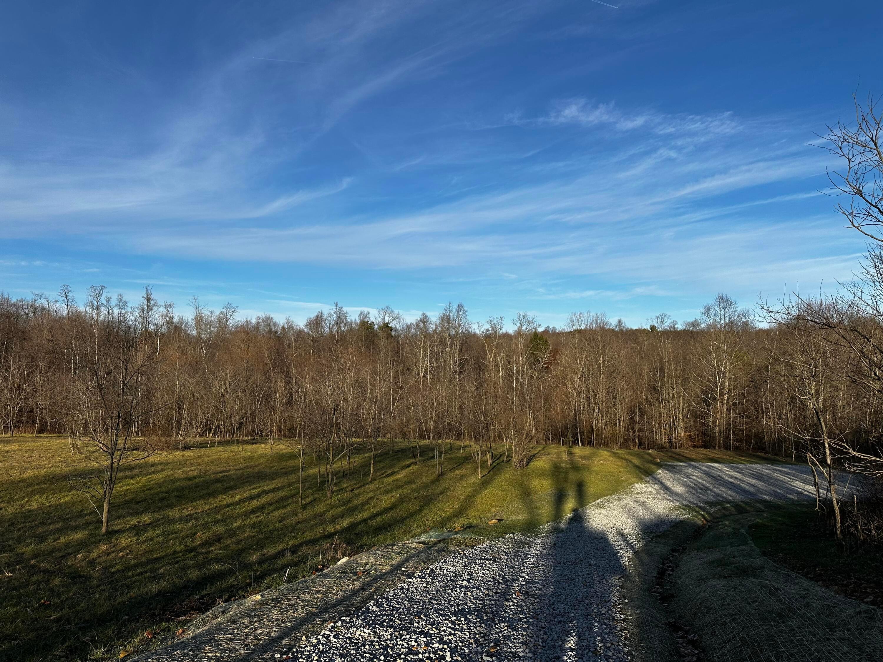 0 242, (tract 7 At Dutch Ridge) Property Photo 2