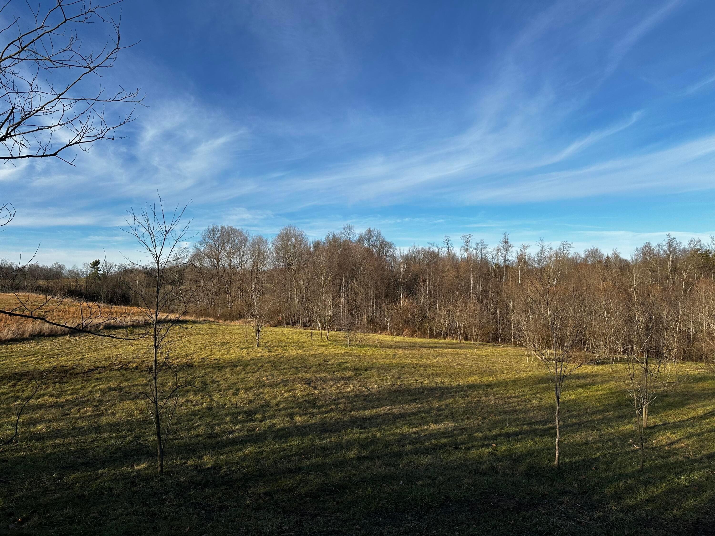 0 242, (tract 7 At Dutch Ridge) Property Photo 3