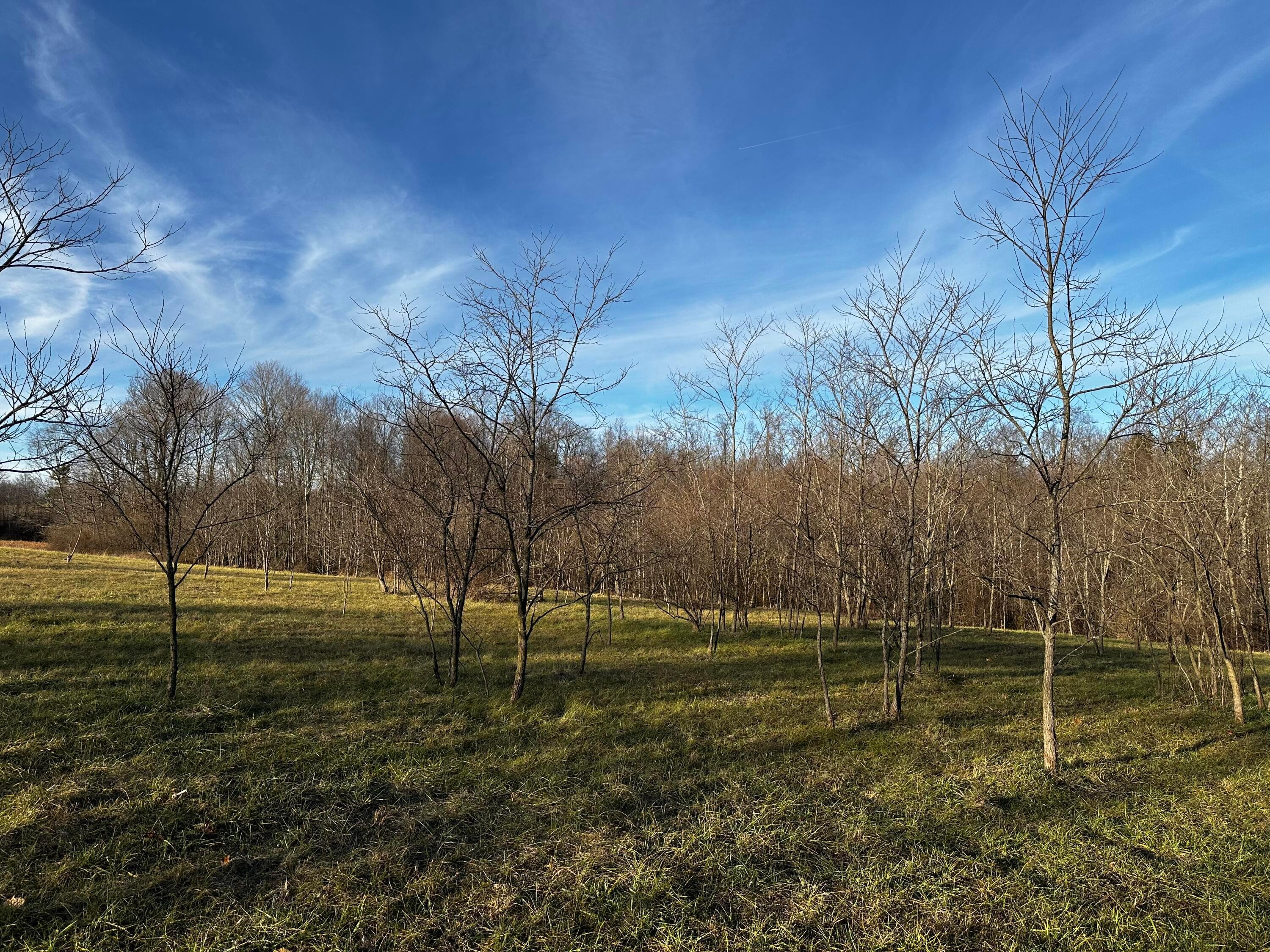 0 242, (tract 7 At Dutch Ridge) Property Photo 4
