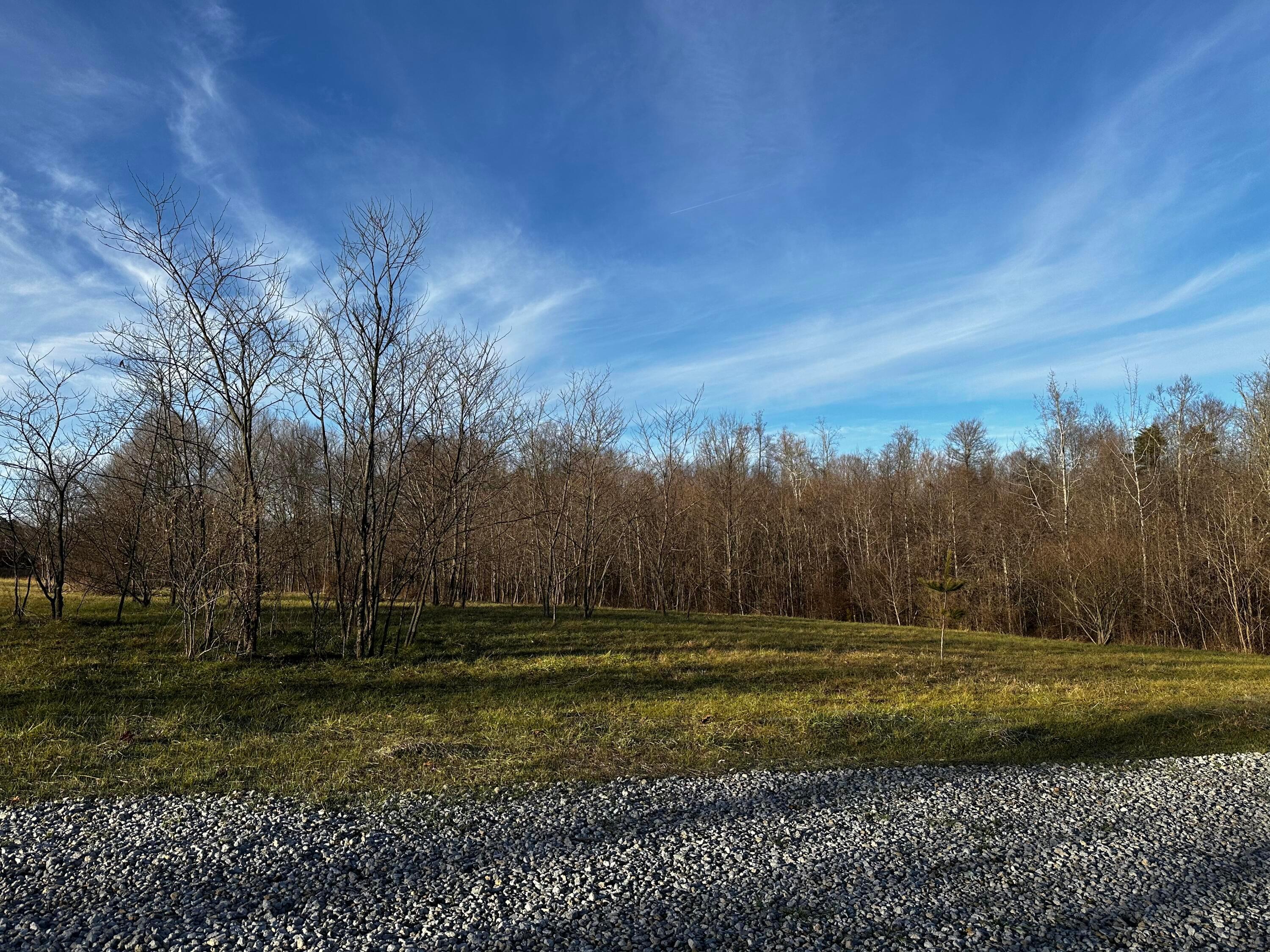 0 242, (tract 7 At Dutch Ridge) Property Photo 6