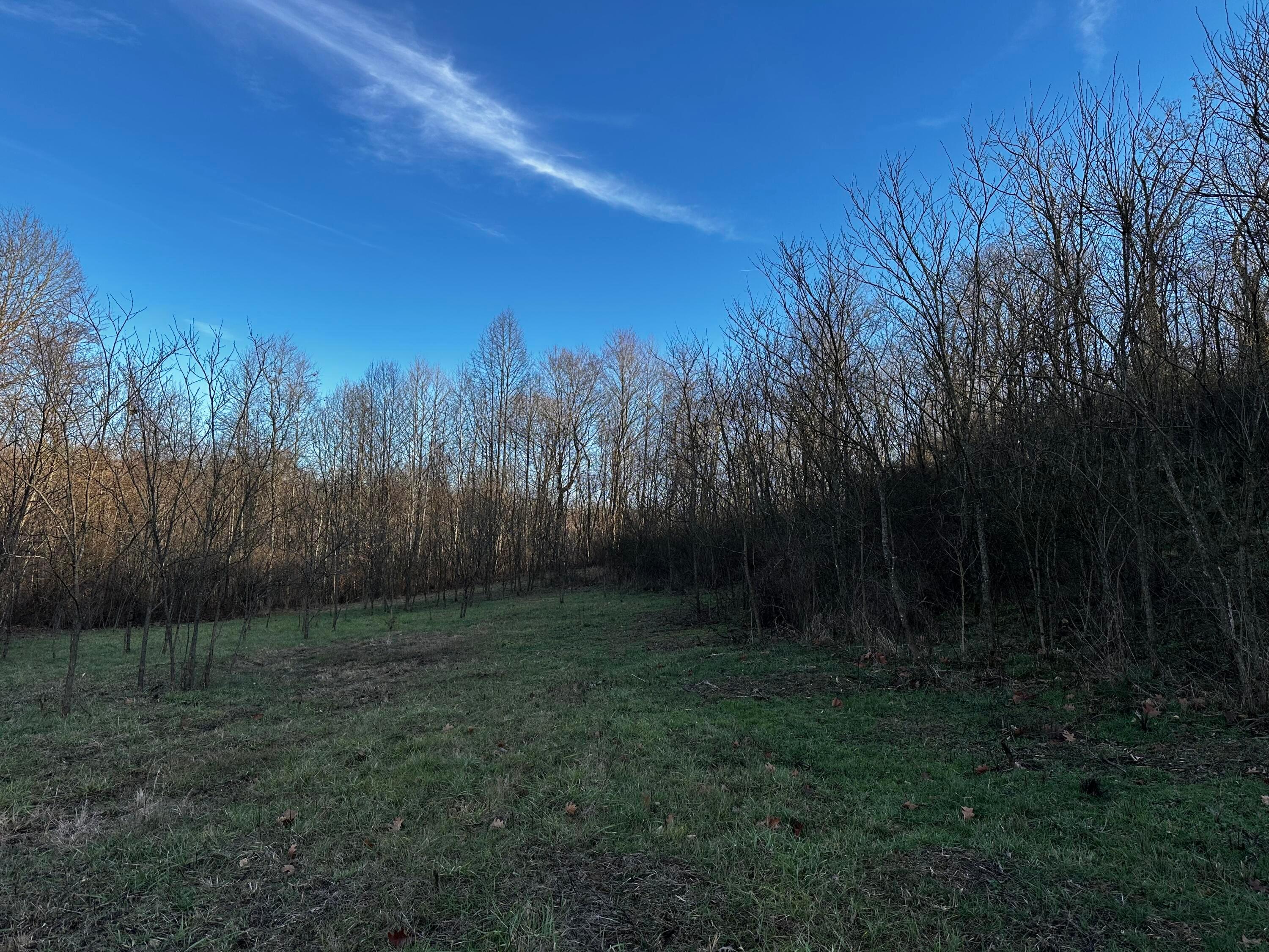 0 242, (tract 7 At Dutch Ridge) Property Photo 10