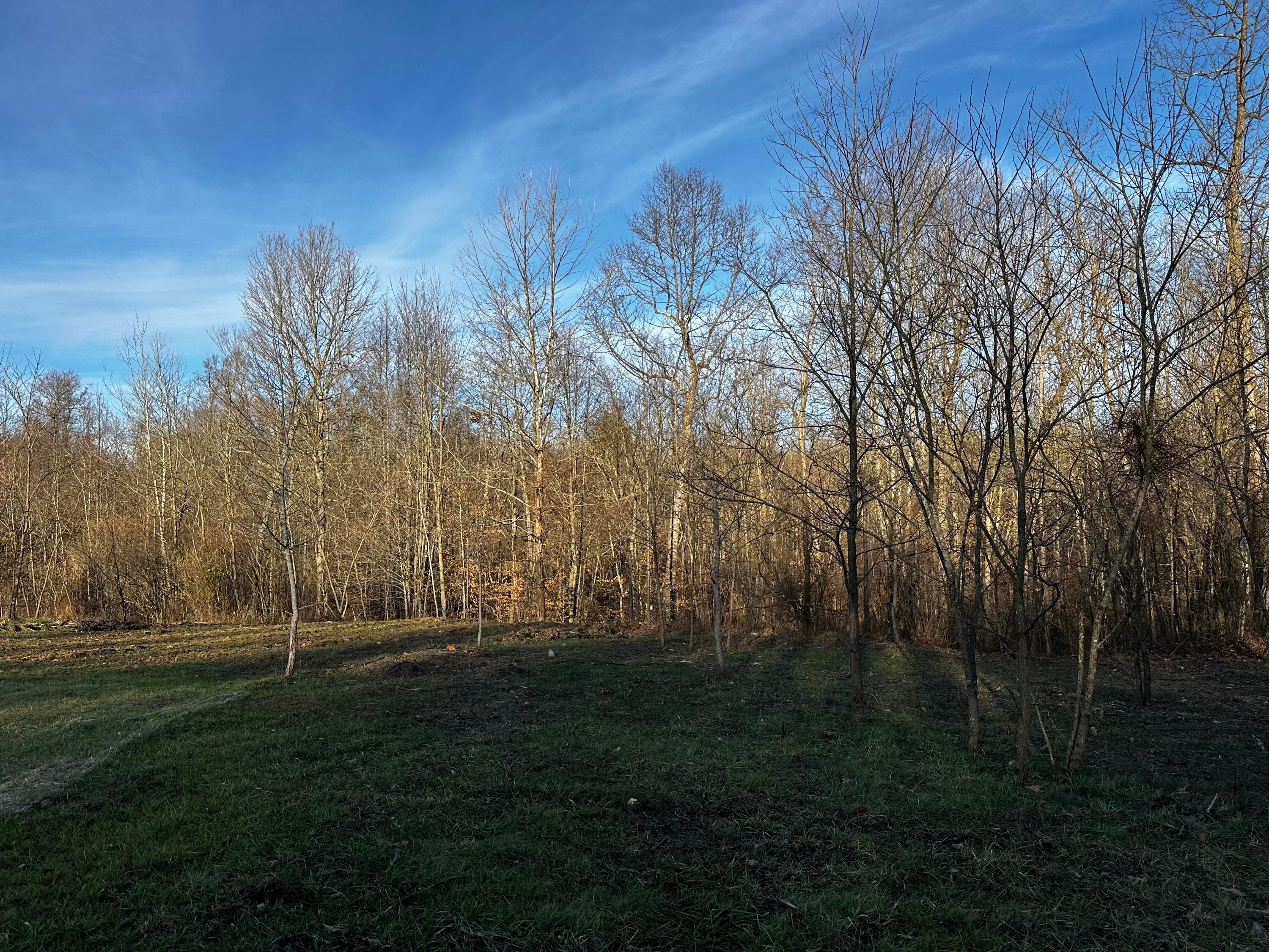 0 242, (tract 7 At Dutch Ridge) Property Photo 11