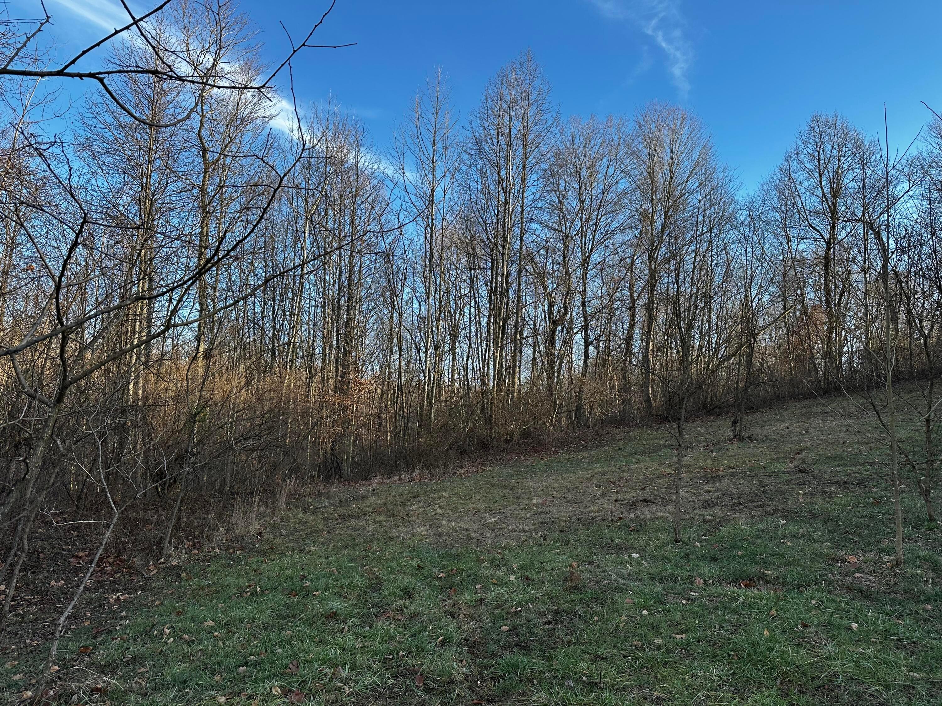 0 242, (tract 7 At Dutch Ridge) Property Photo 12