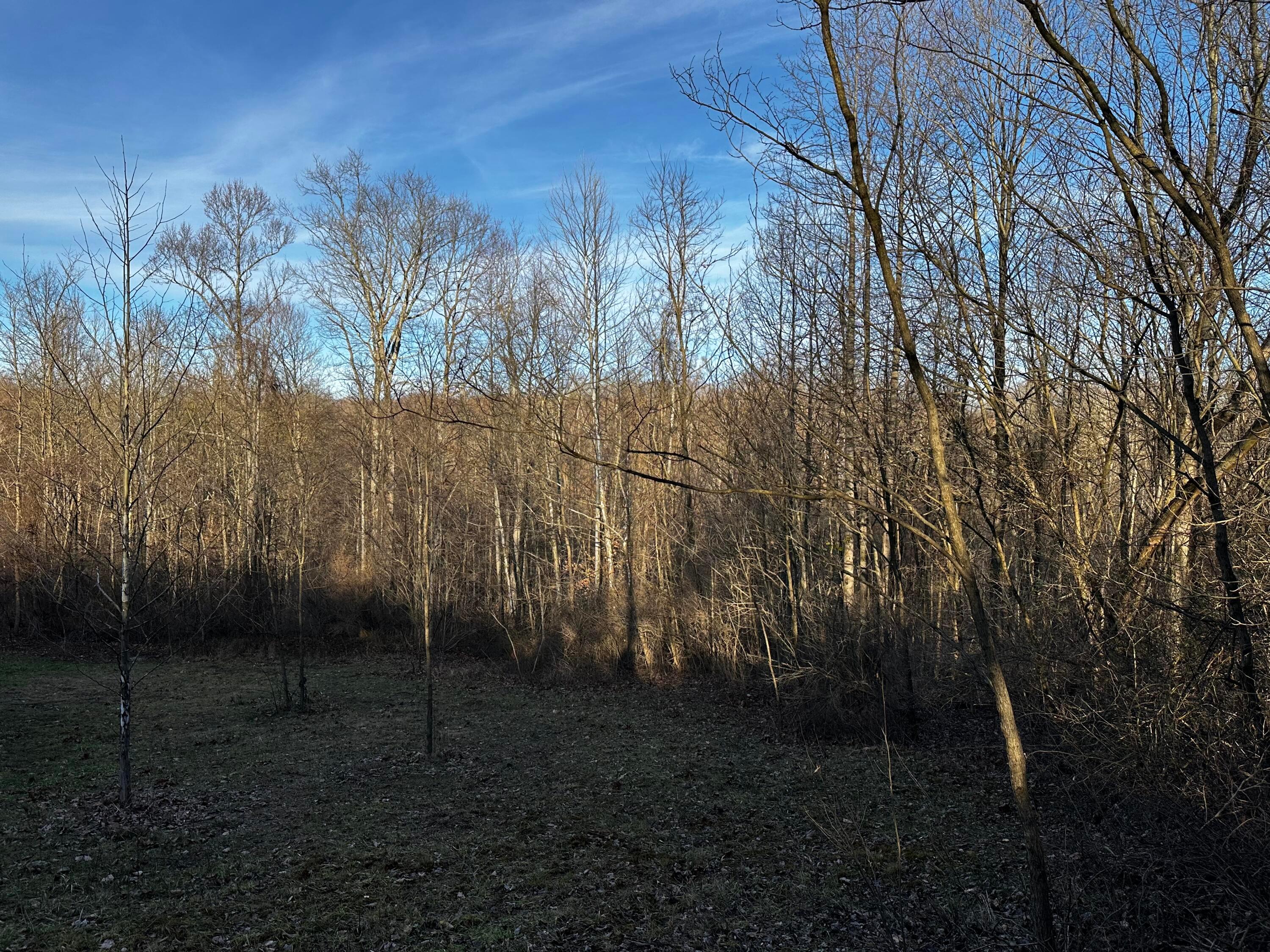 0 242, (tract 7 At Dutch Ridge) Property Photo 13