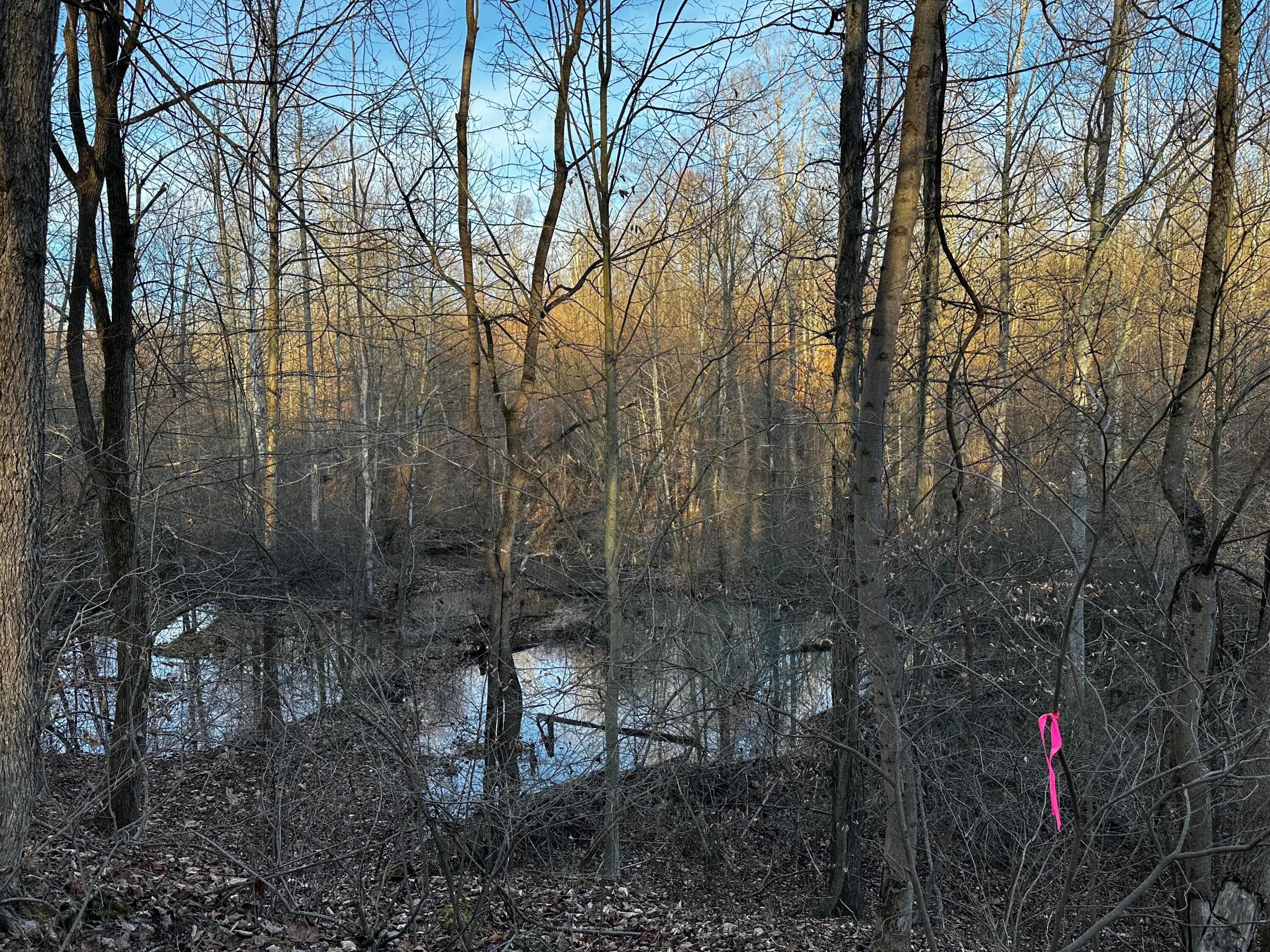 0 242, (tract 7 At Dutch Ridge) Property Photo 19