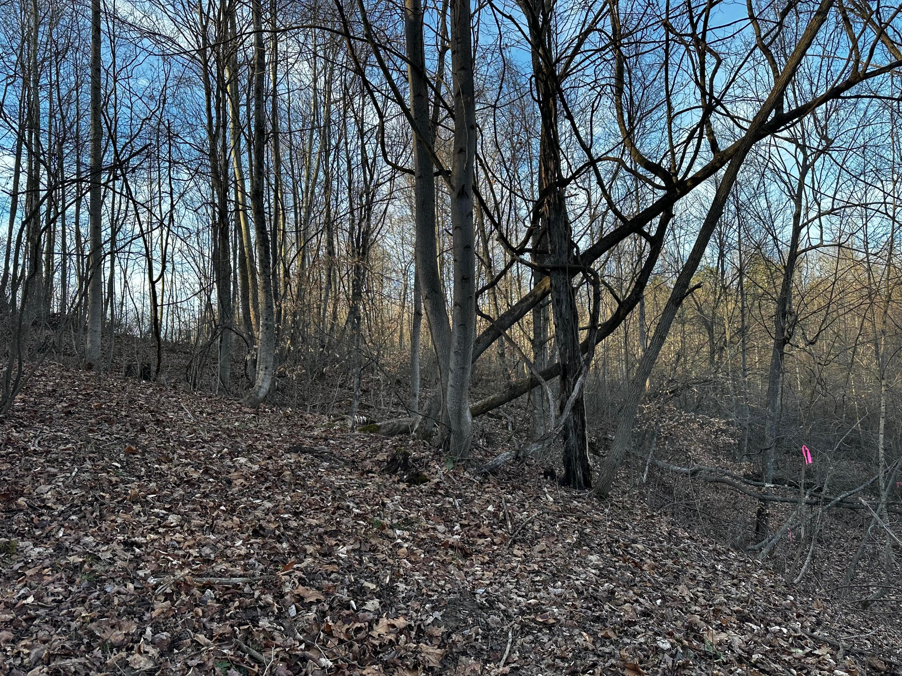 0 242, (tract 7 At Dutch Ridge) Property Photo 21