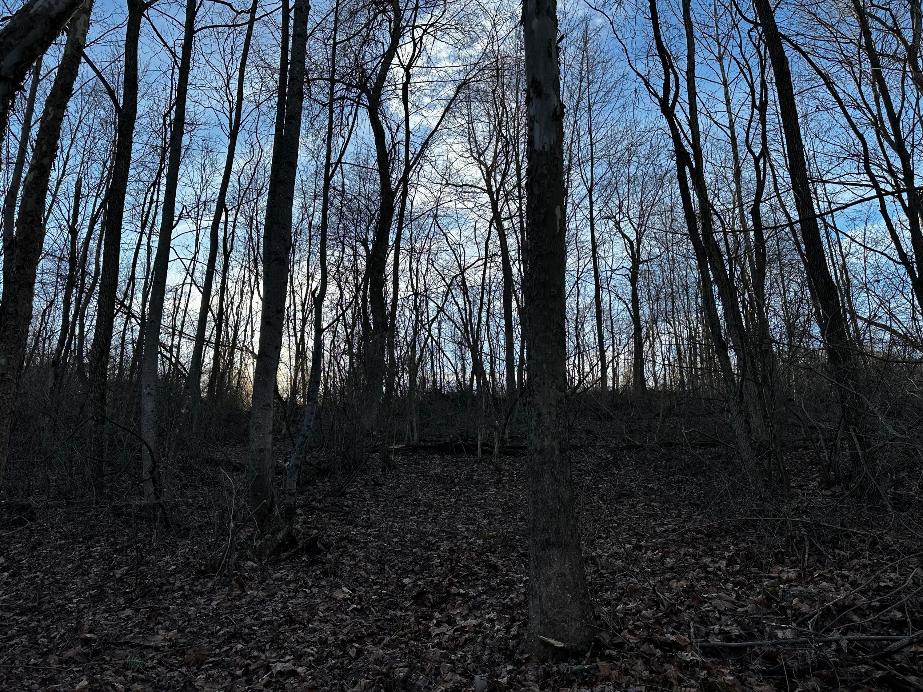 0 242, (tract 7 At Dutch Ridge) Property Photo 22