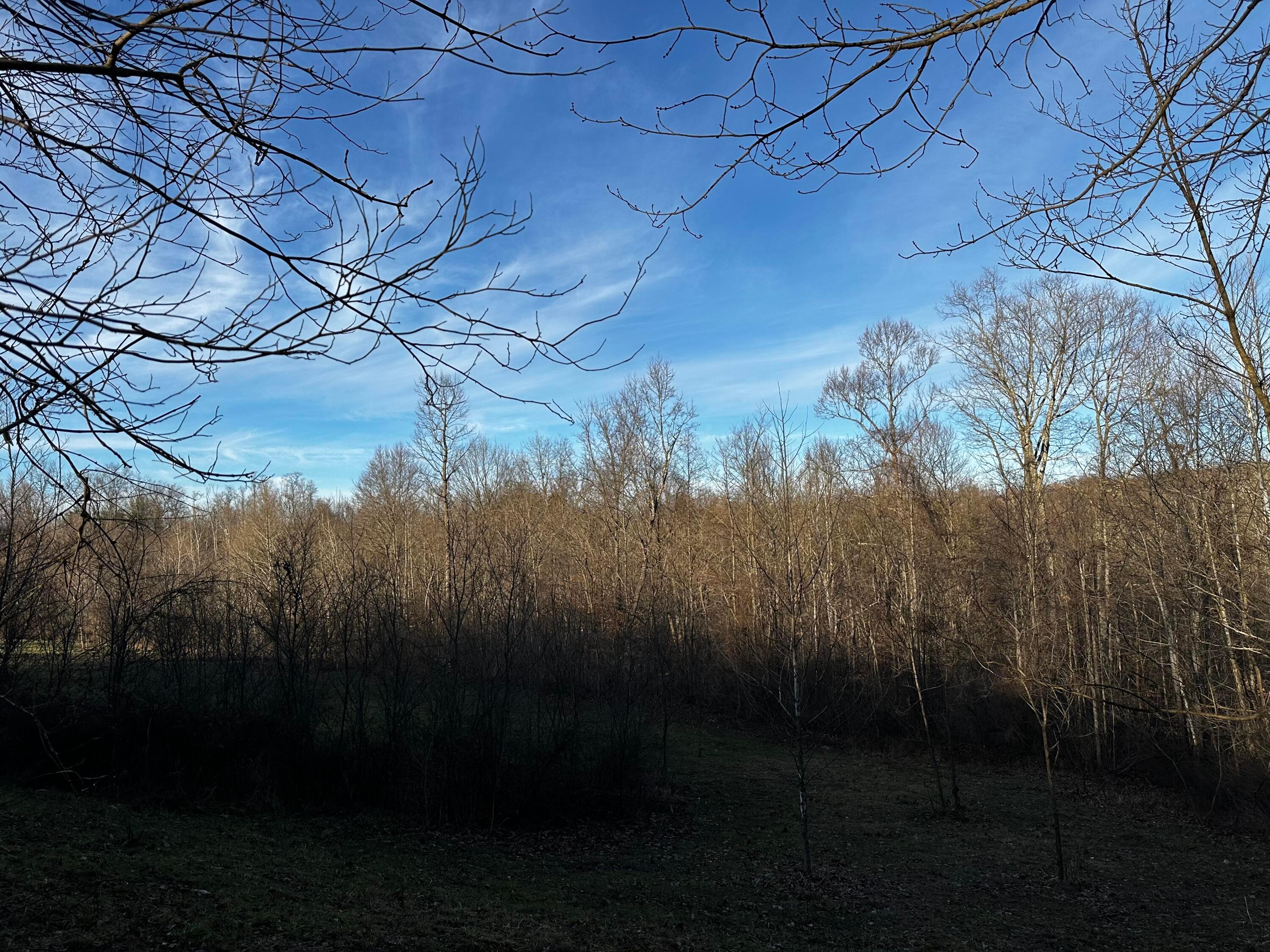 0 242, (tract 7 At Dutch Ridge) Property Photo 24