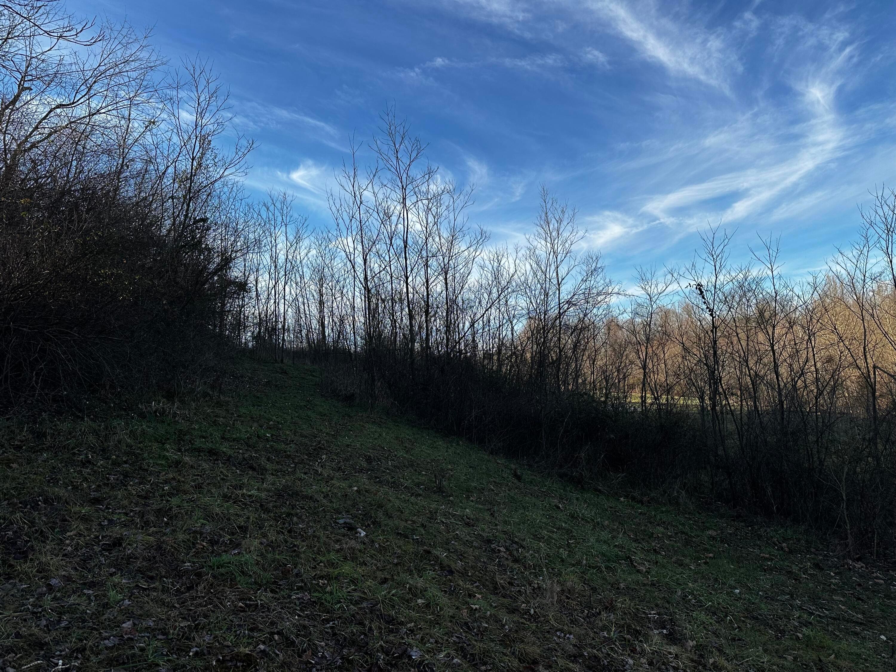0 242, (tract 7 At Dutch Ridge) Property Photo 25