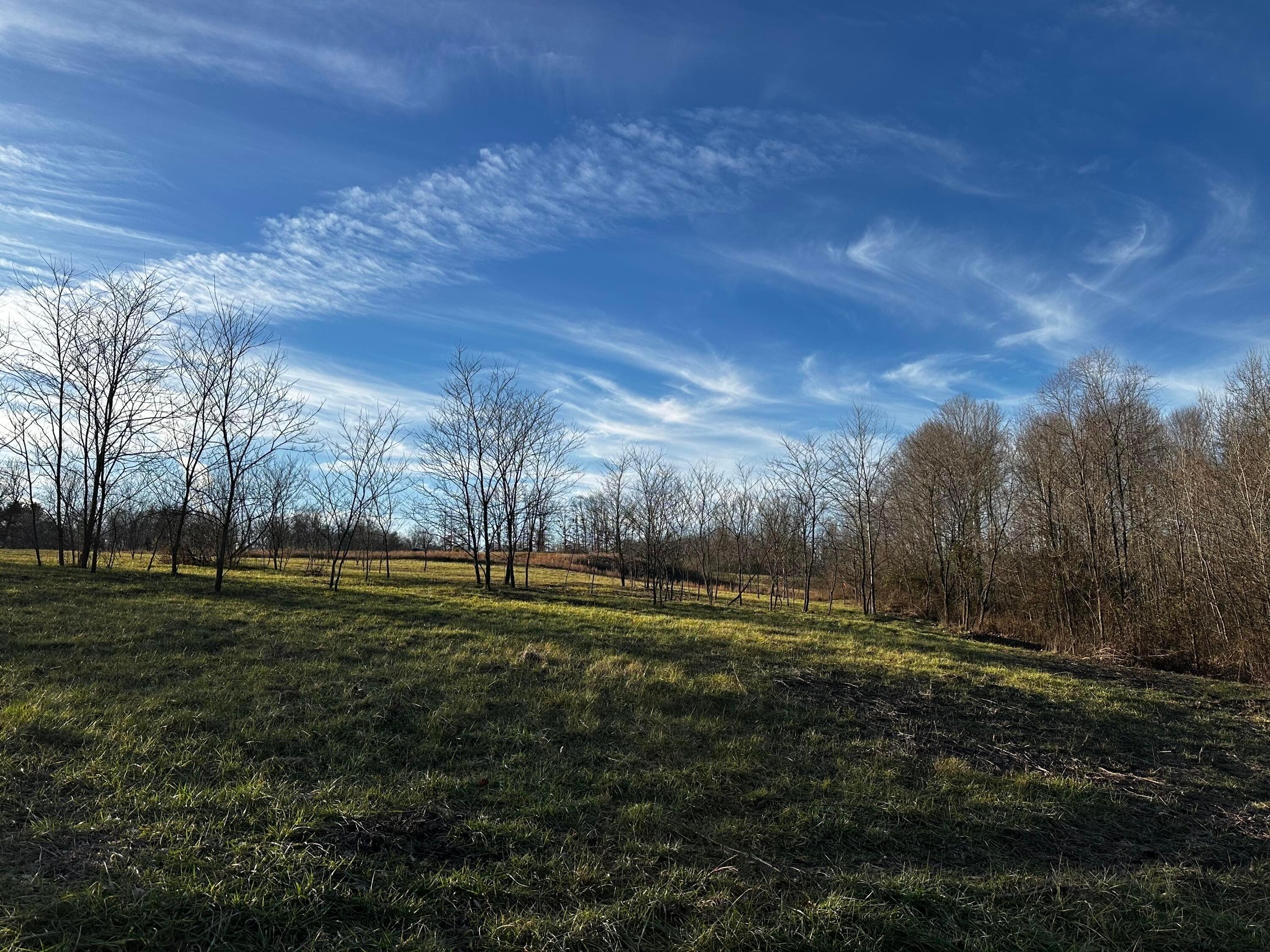 0 242, (tract 7 At Dutch Ridge) Property Photo 31