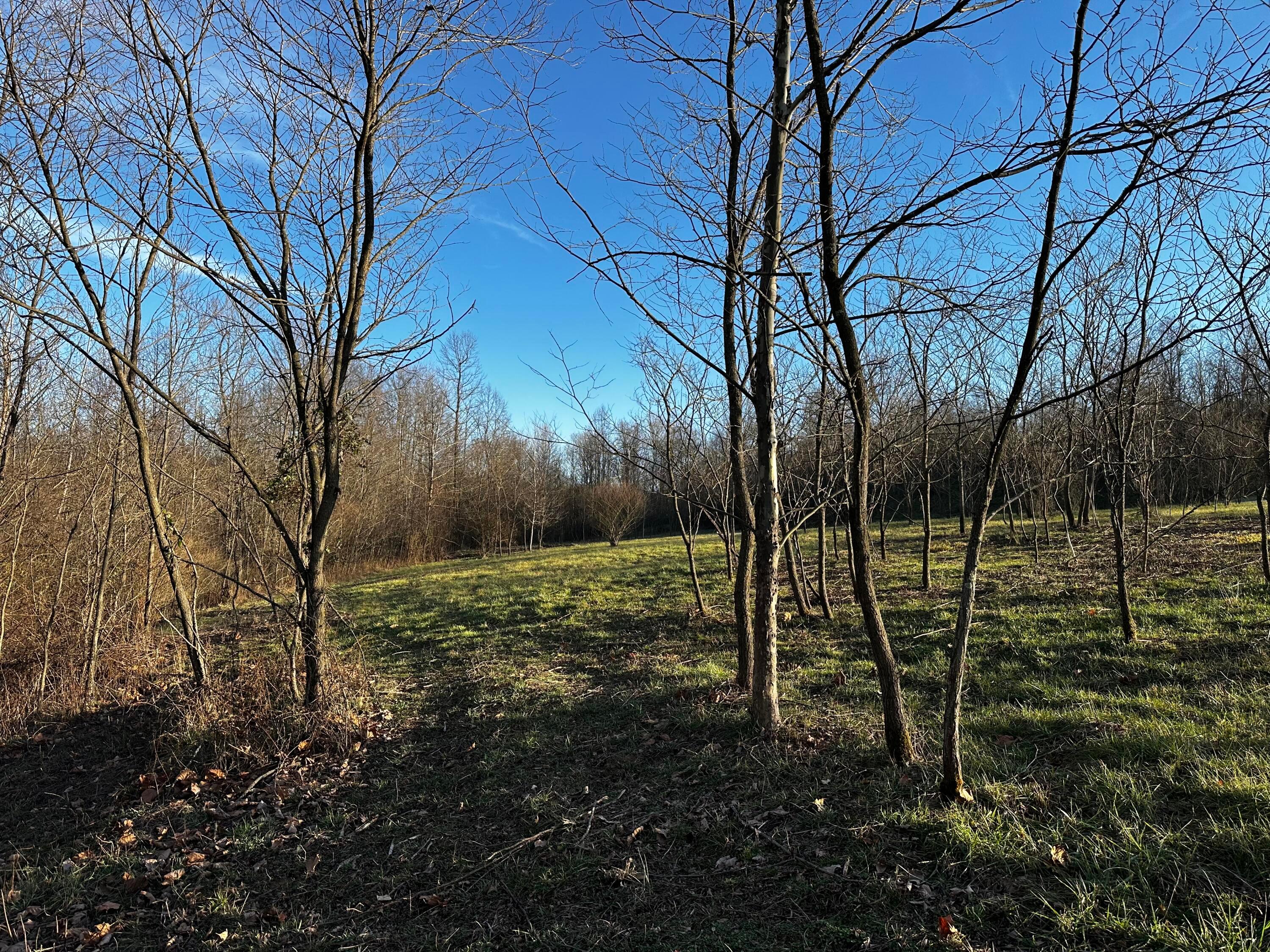 0 242, (tract 7 At Dutch Ridge) Property Photo 32