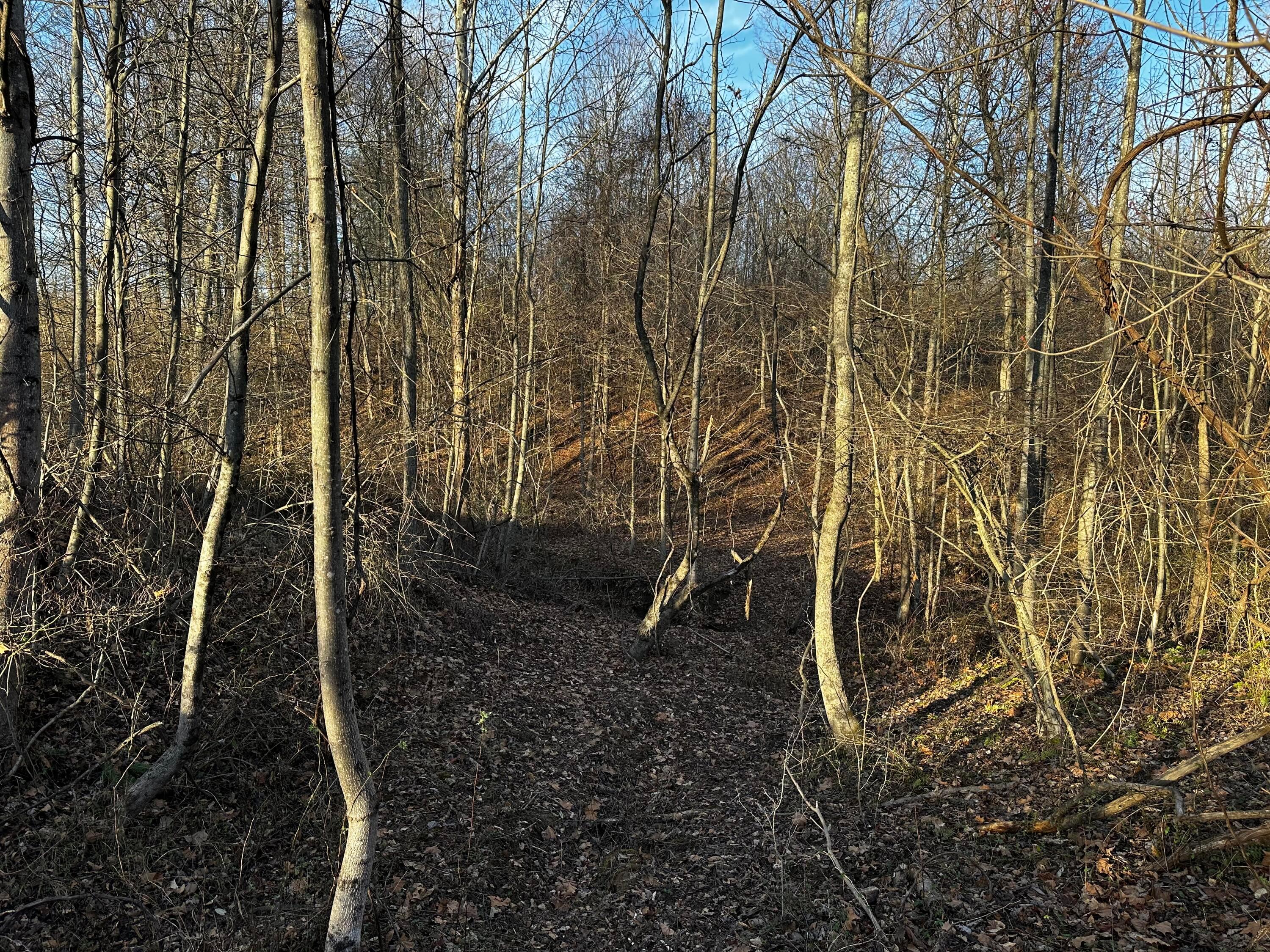 0 242, (tract 7 At Dutch Ridge) Property Photo 33