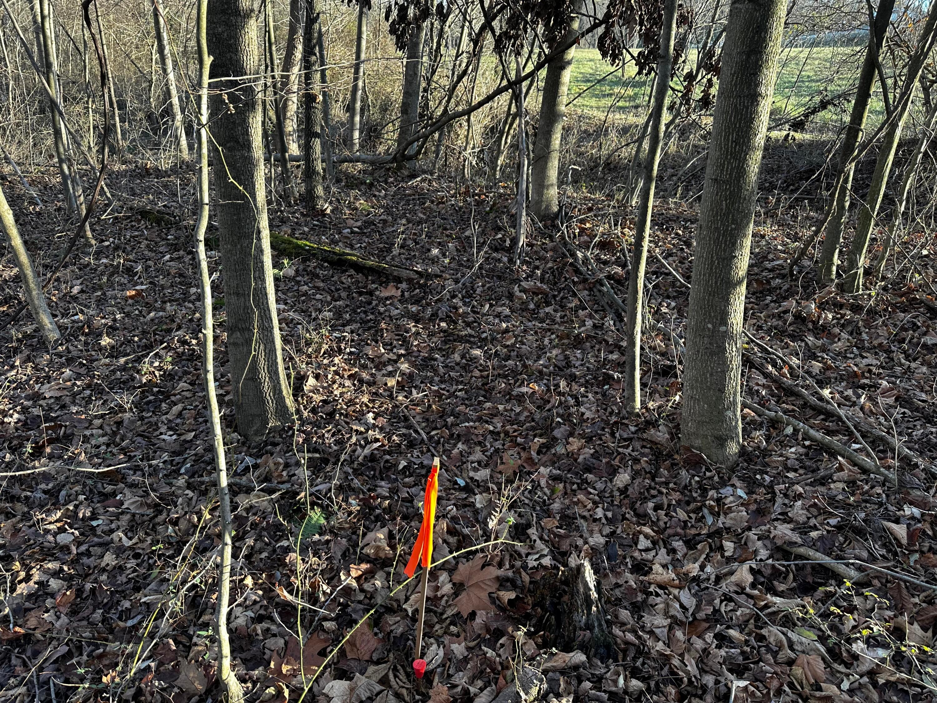 0 242, (tract 7 At Dutch Ridge) Property Photo 34