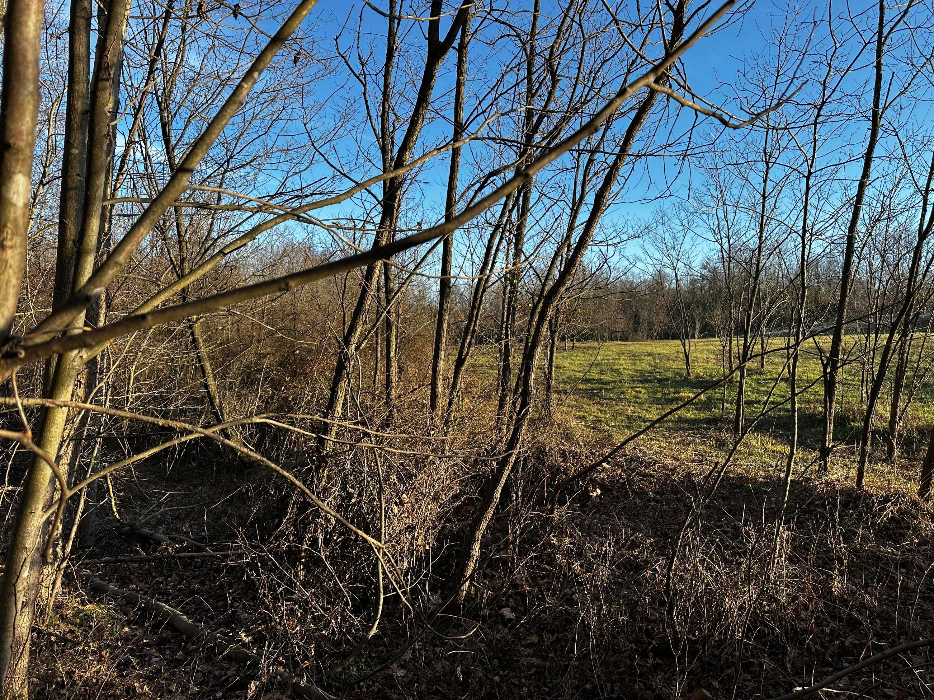 0 242, (tract 7 At Dutch Ridge) Property Photo 35