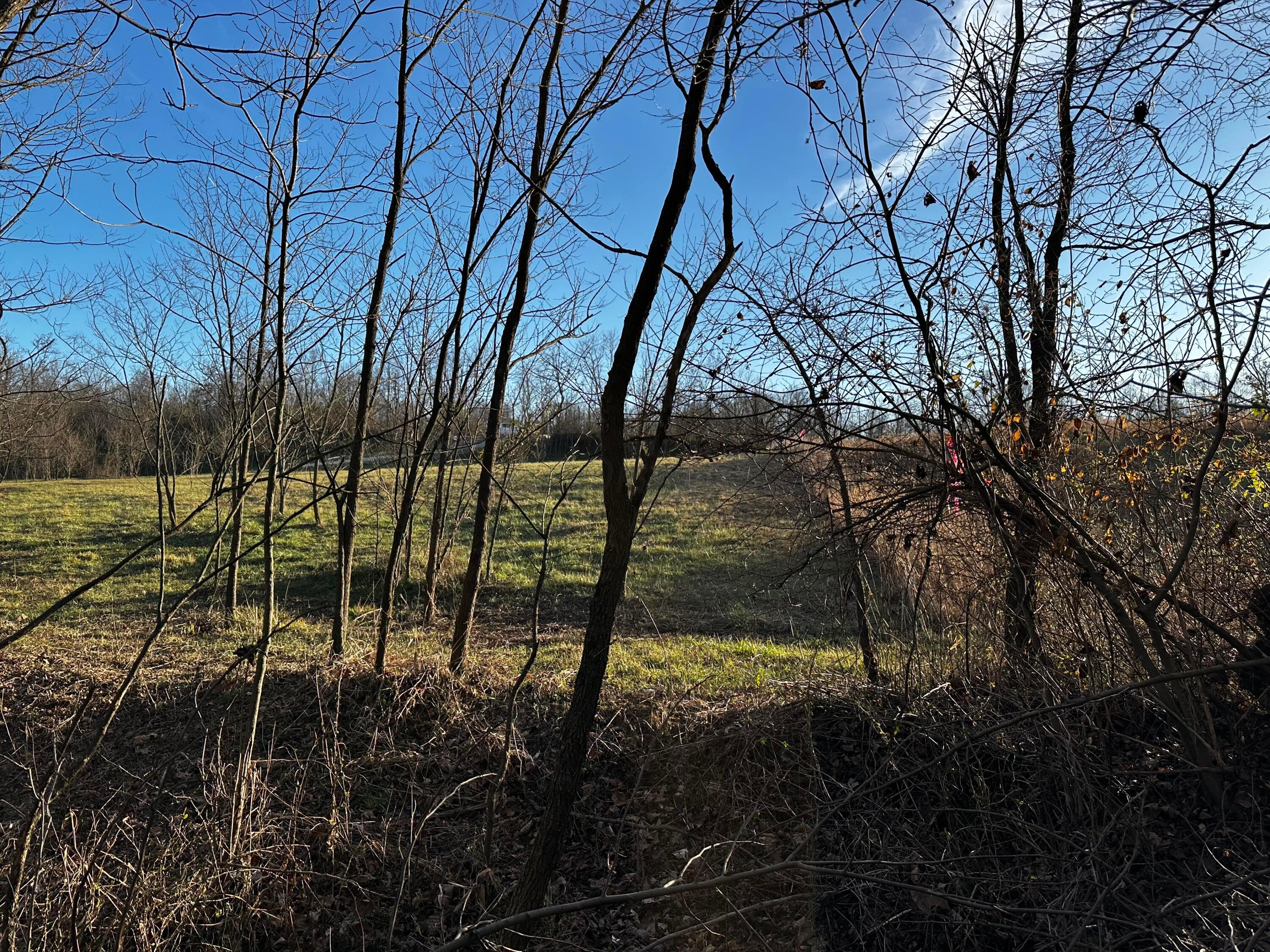 0 242, (tract 7 At Dutch Ridge) Property Photo 36