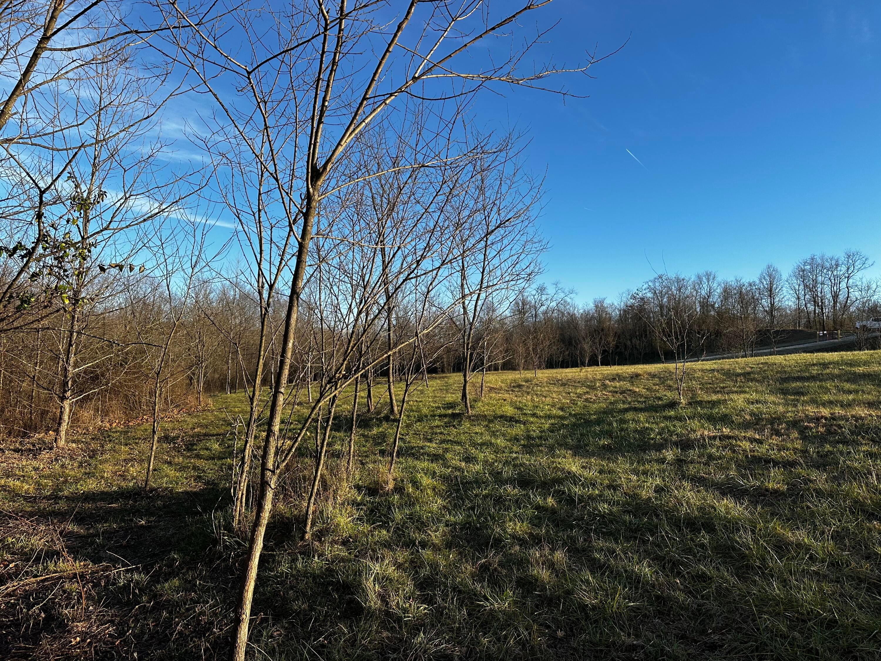 0 242, (tract 7 At Dutch Ridge) Property Photo 37