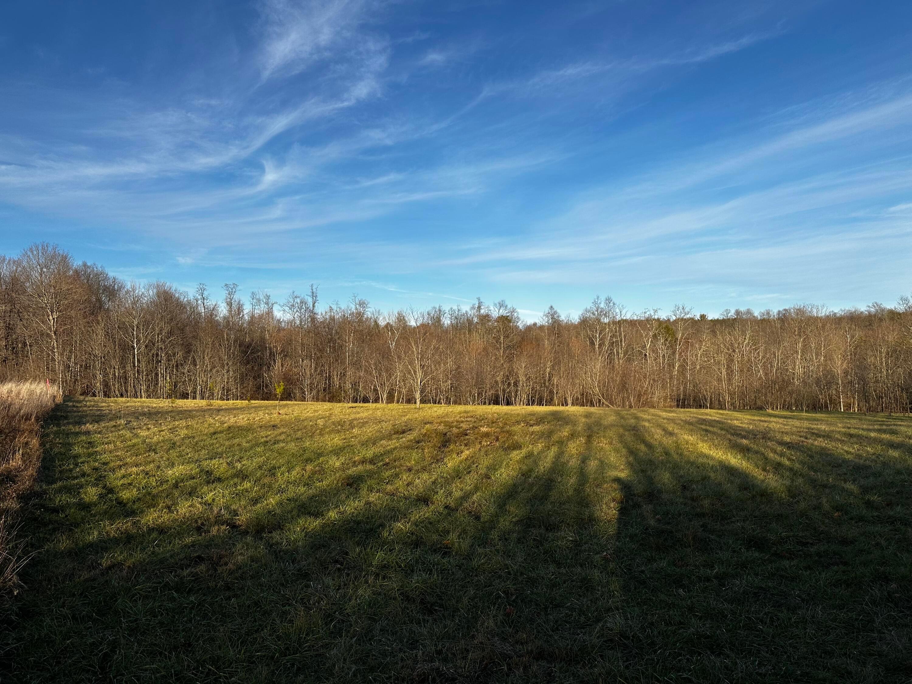 0 242, (tract 7 At Dutch Ridge) Property Photo 40