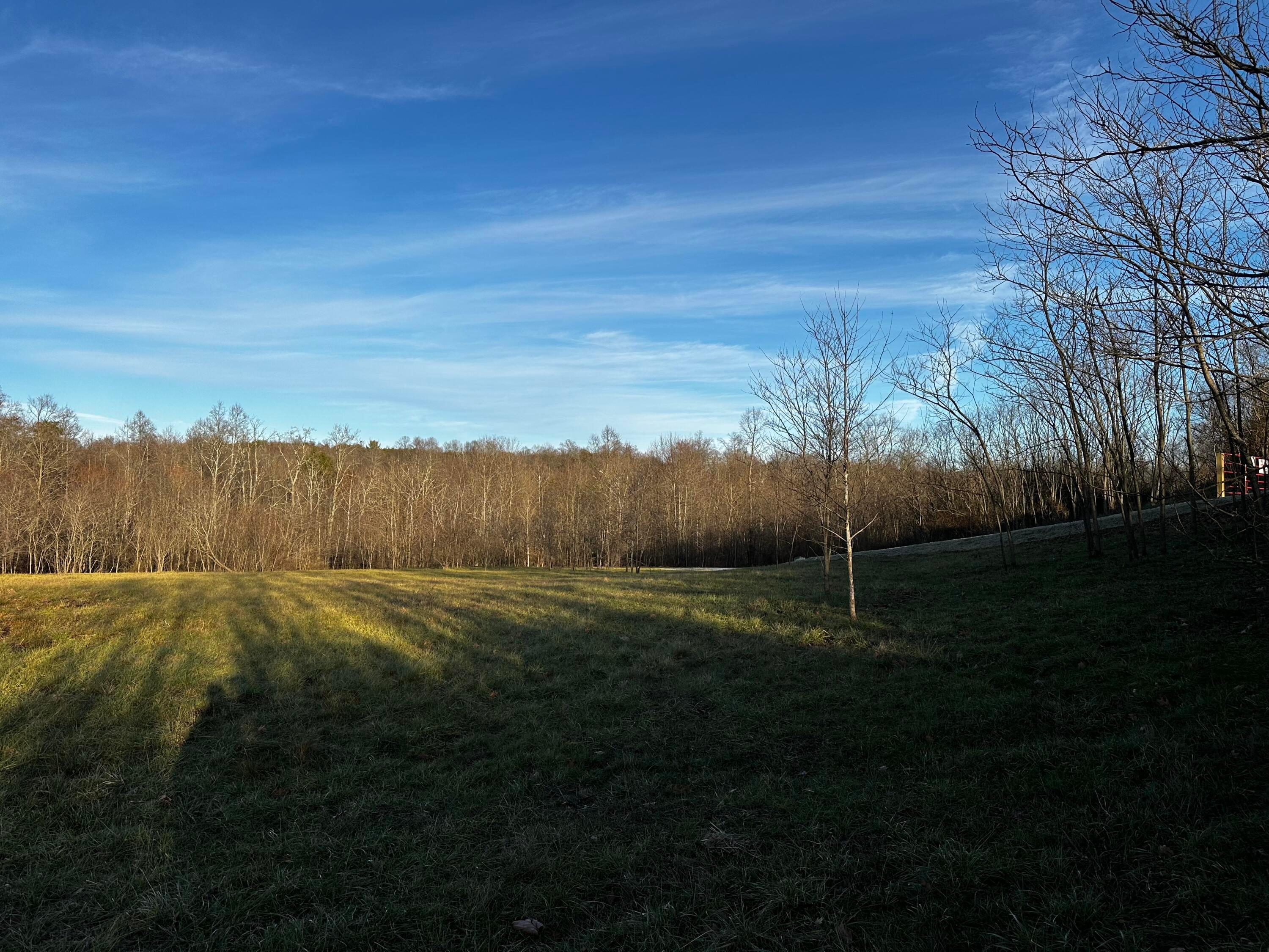 0 242, (tract 7 At Dutch Ridge) Property Photo 41