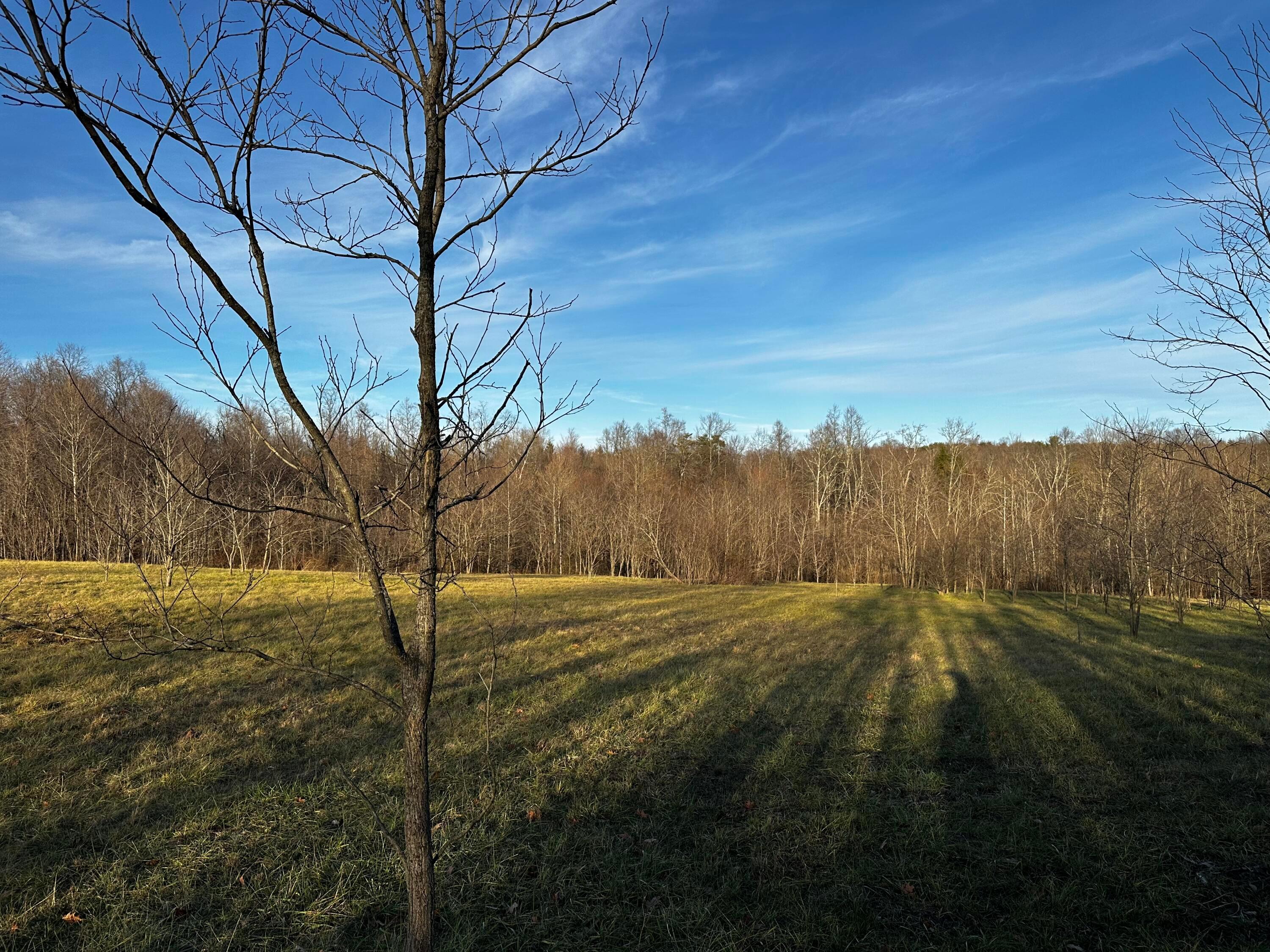 0 242, (tract 7 At Dutch Ridge) Property Photo 42
