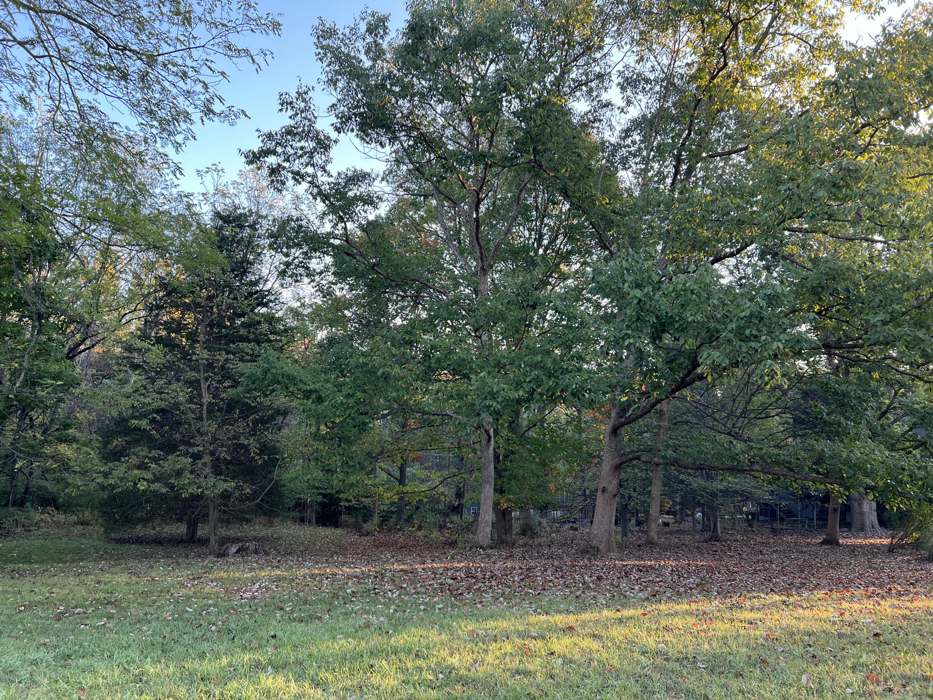 Lot 462 Carriage Road Property Photo 1
