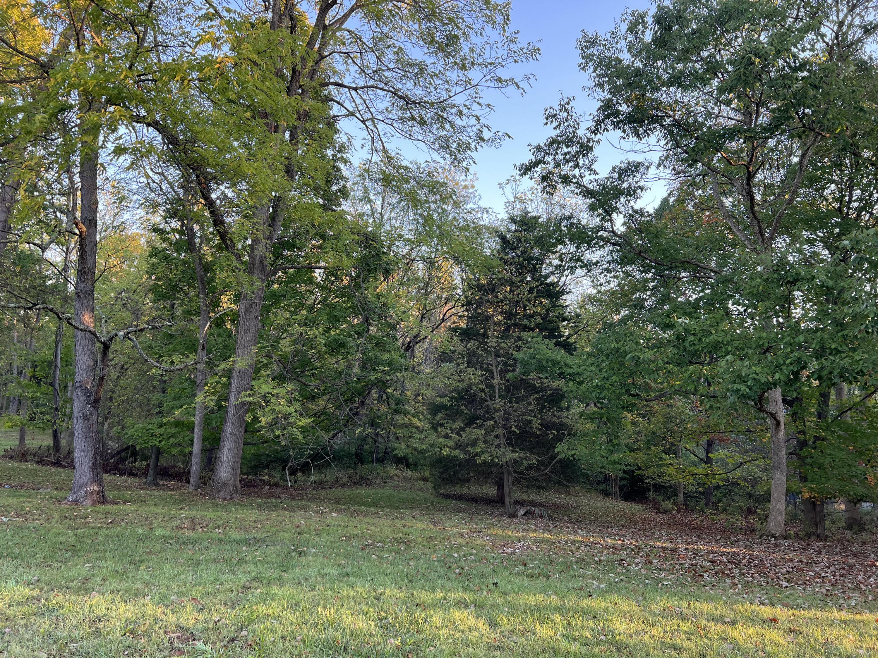 Lot 462 Carriage Road Property Photo 3