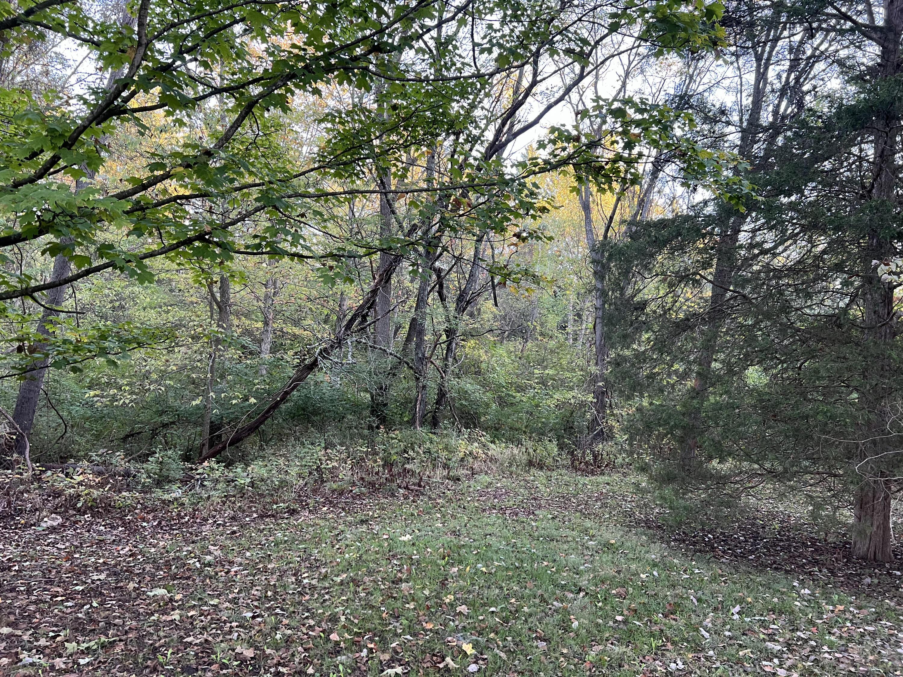 Lot 462 Carriage Road Property Photo 4