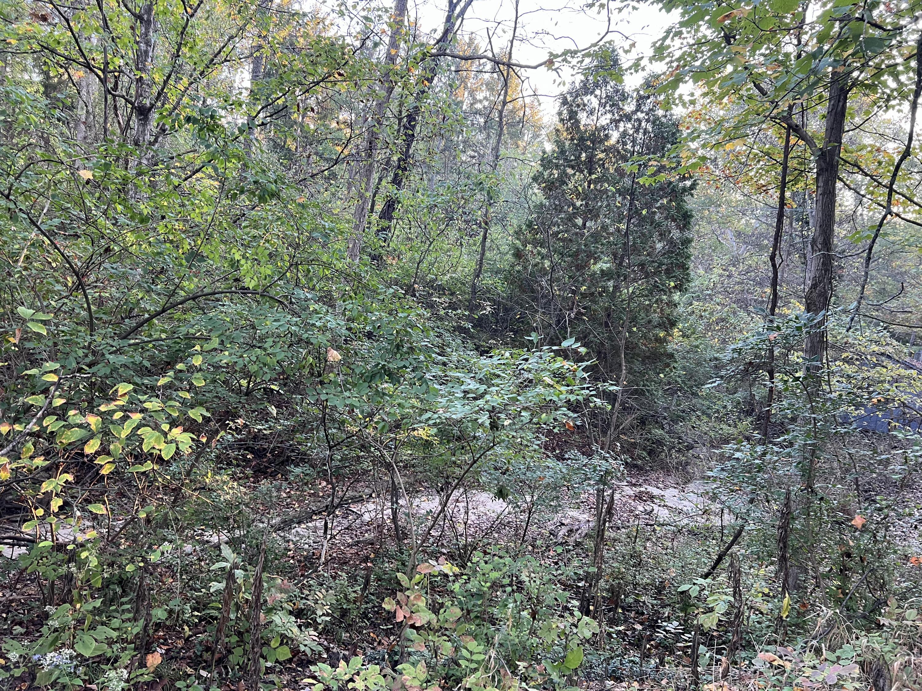 Lot 462 Carriage Road Property Photo 5