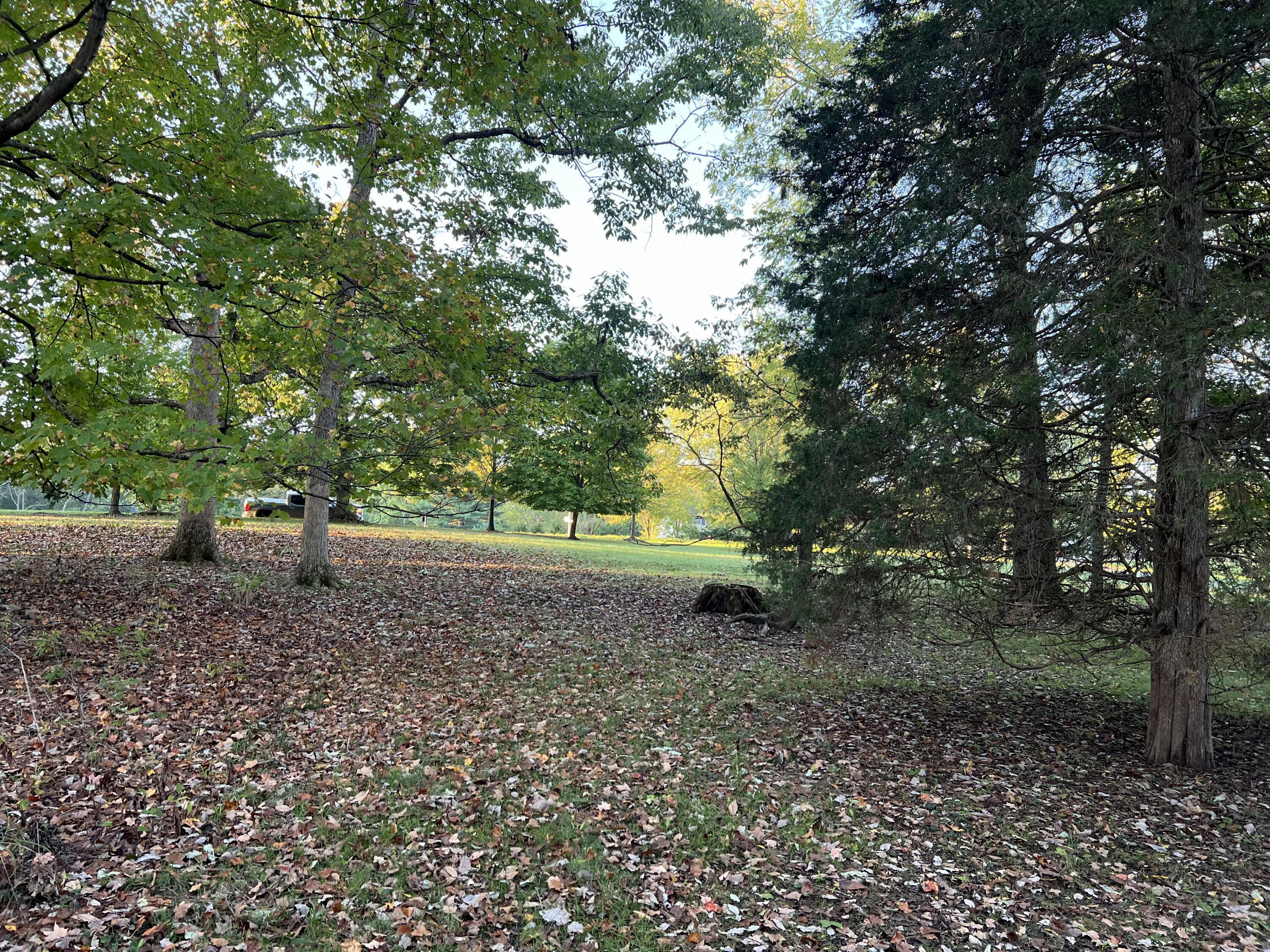 Lot 462 Carriage Road Property Photo 6