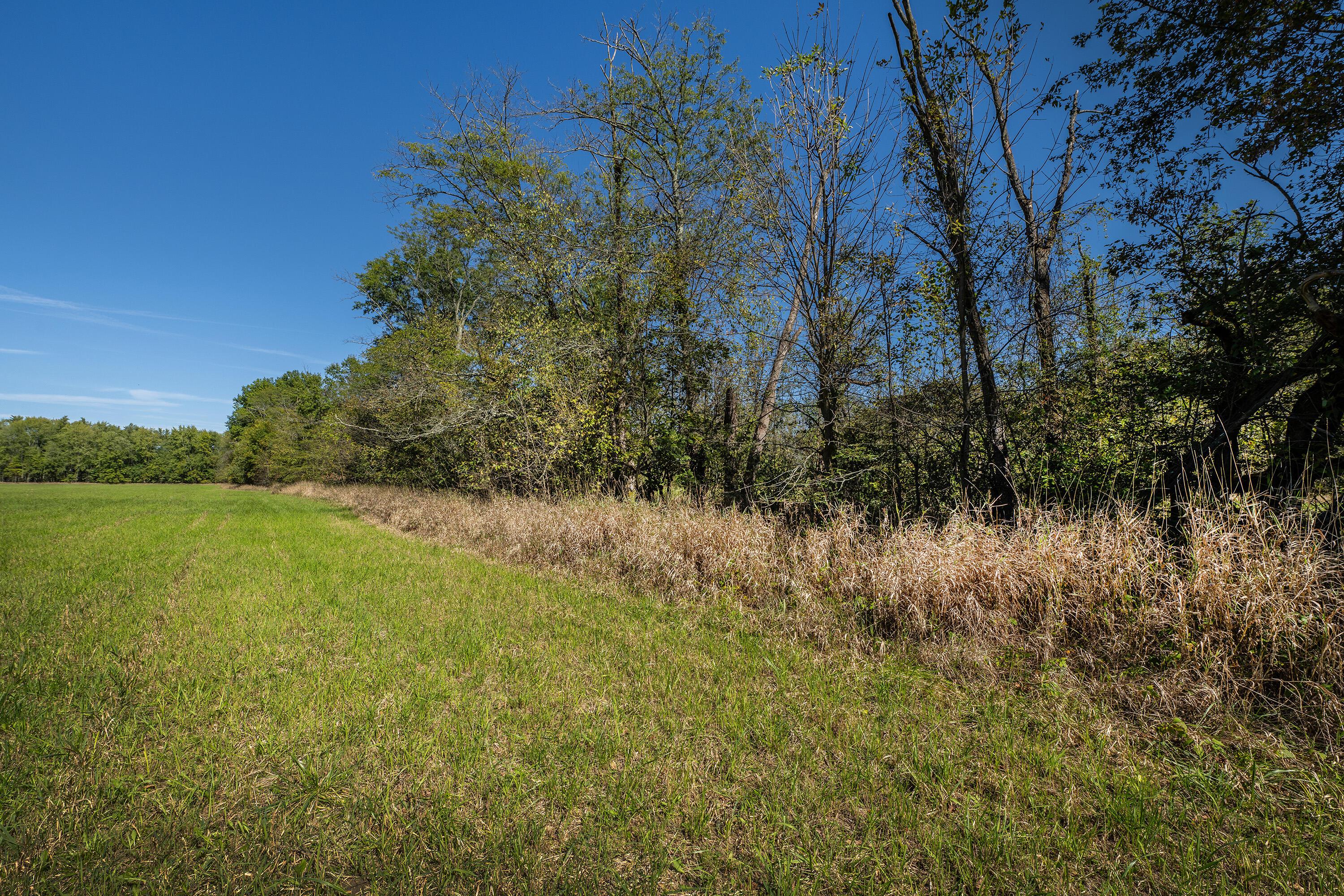 0 Mink Street Road Property Photo 19