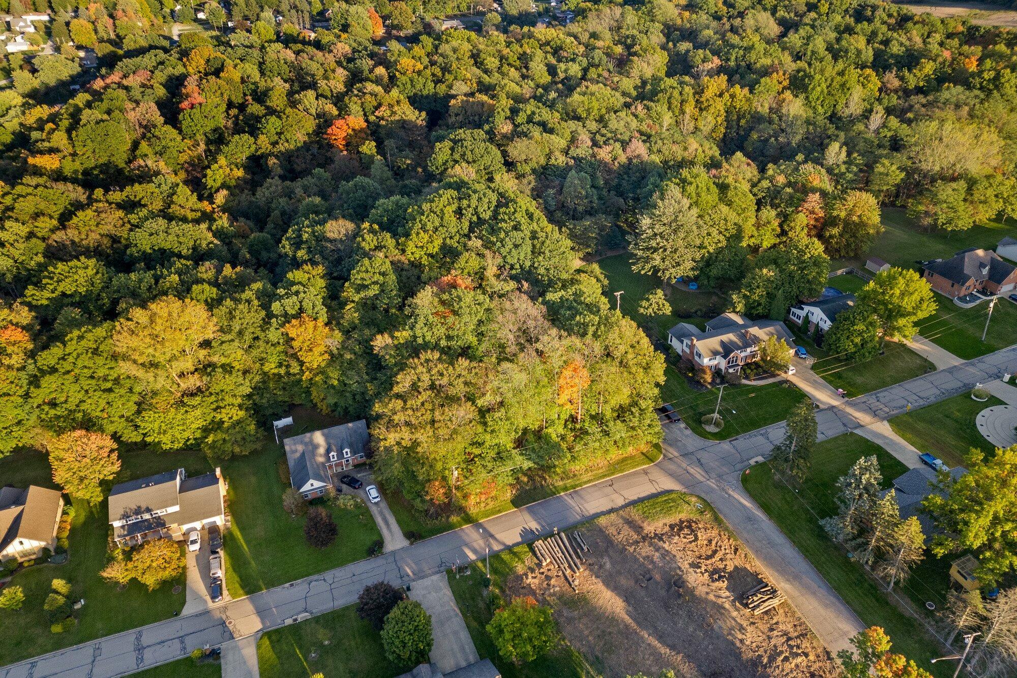 0 Sloboda Avenue, (0.424 Acres) Property Photo 2