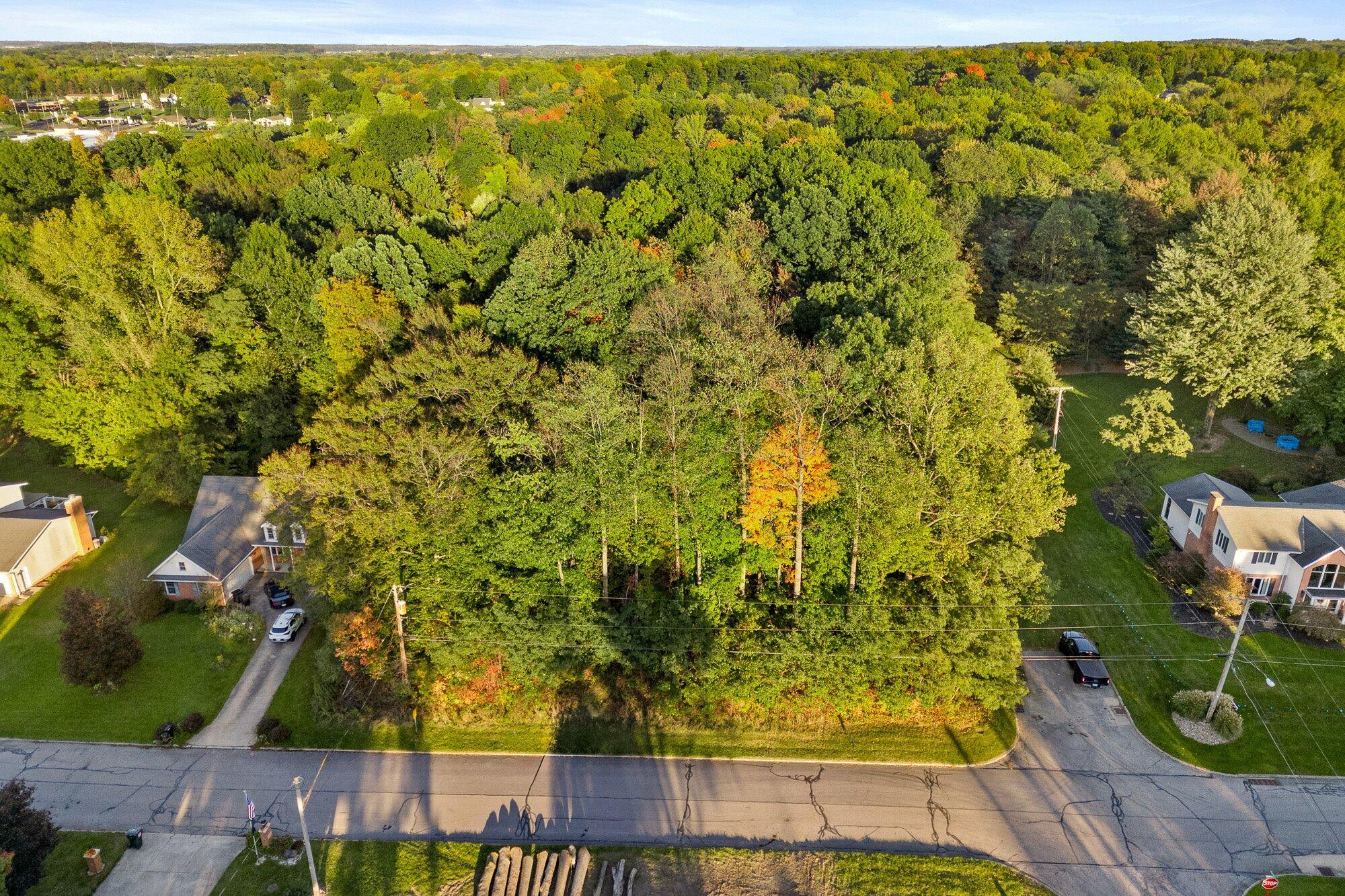 0 Sloboda Avenue, (0.424 Acres) Property Photo 3