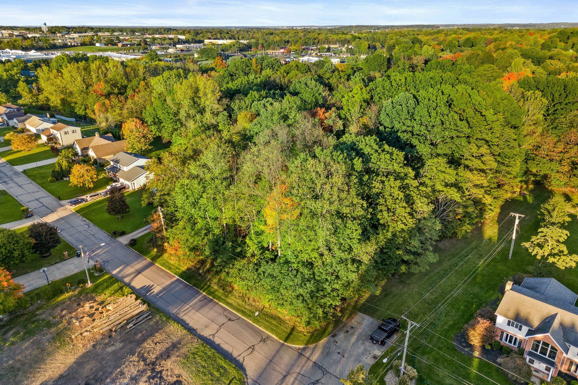 0 Sloboda Avenue, (0.424 Acres) Property Photo 4